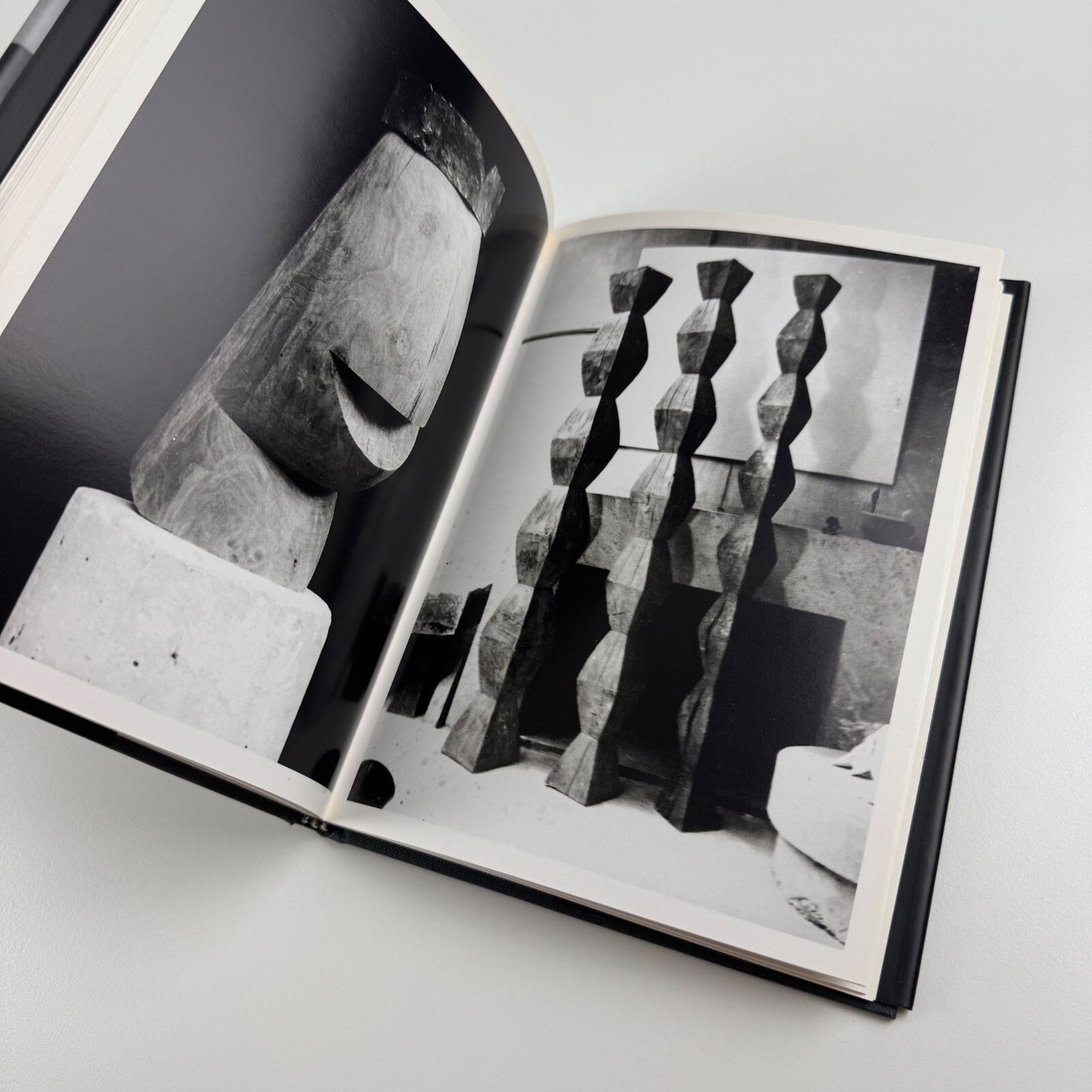Brancusi Photographs by Elizabeth A. Brown | Thames & Hudson, 1995