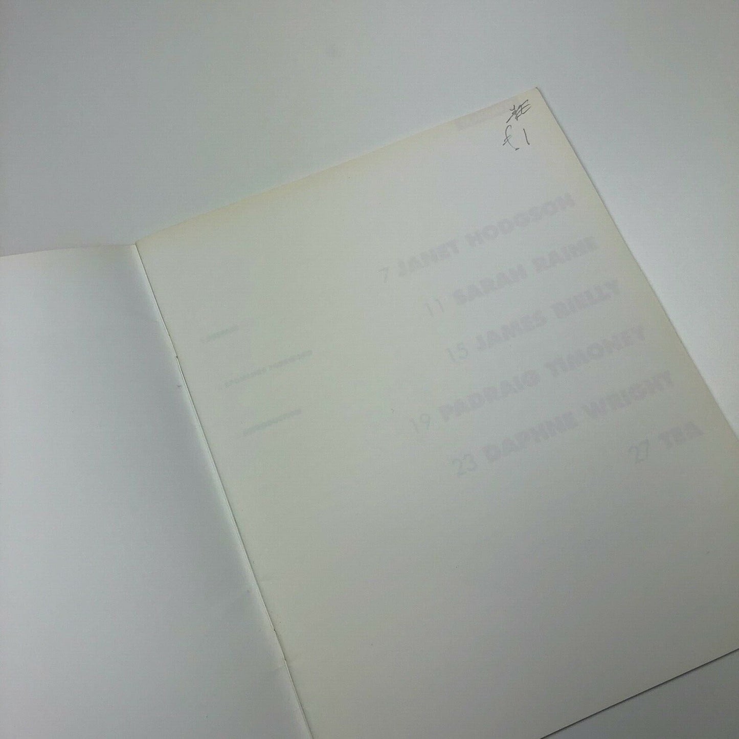 Making It: Process and Participation | Tate Liverpool, 1995 | Janet Hodgson, Sarah Raine, James Rielly, Padraig Timoney, Daphne Wright, Tea