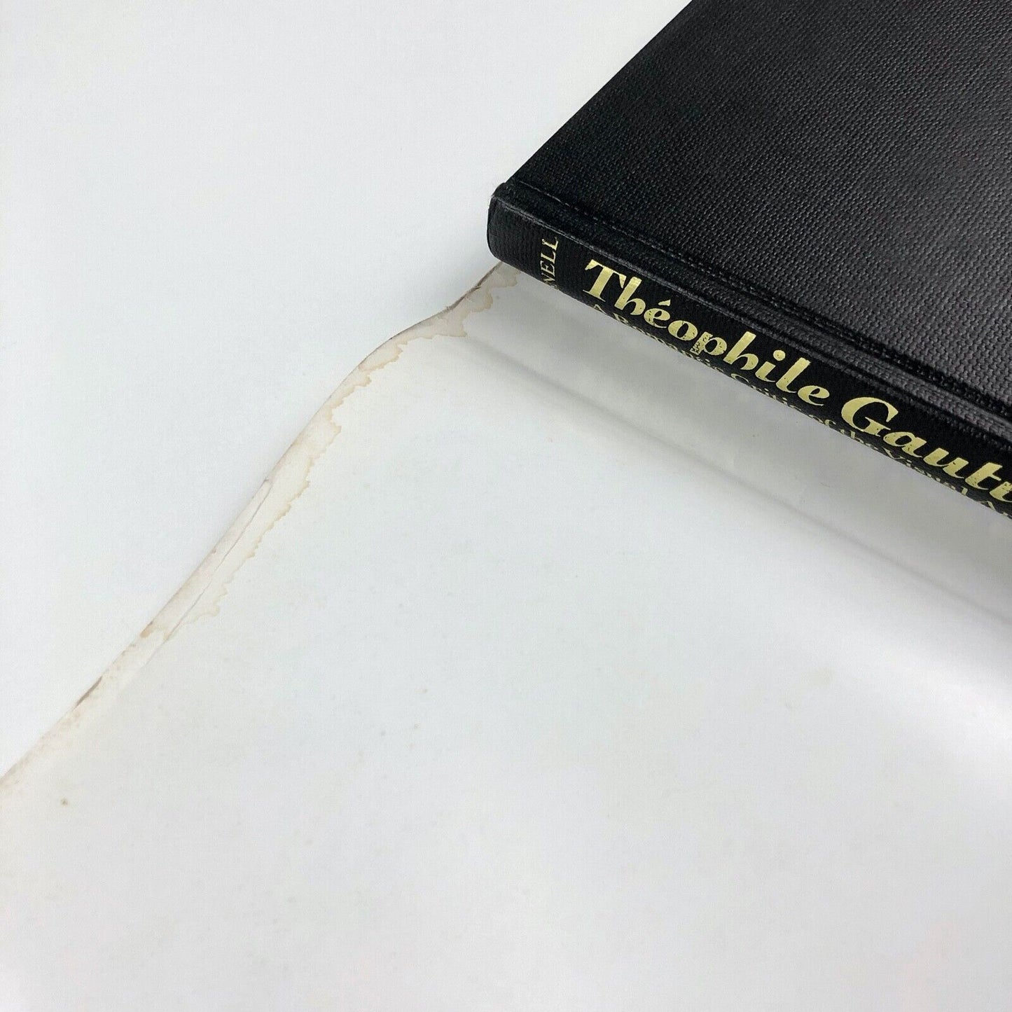 Théophile Gautier – a Romantic Critic of the Visual Arts by Robert Snell | 1982