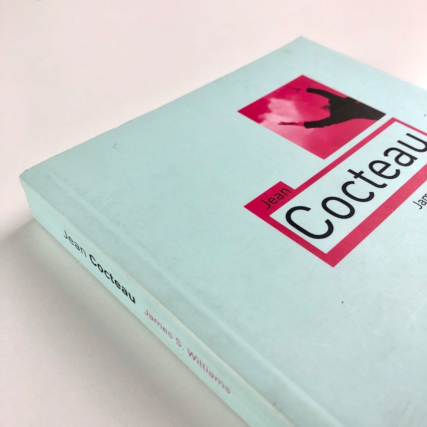 Jean Cocteau by James S. Williams | Critical Lives series / Reaction Books, 2008