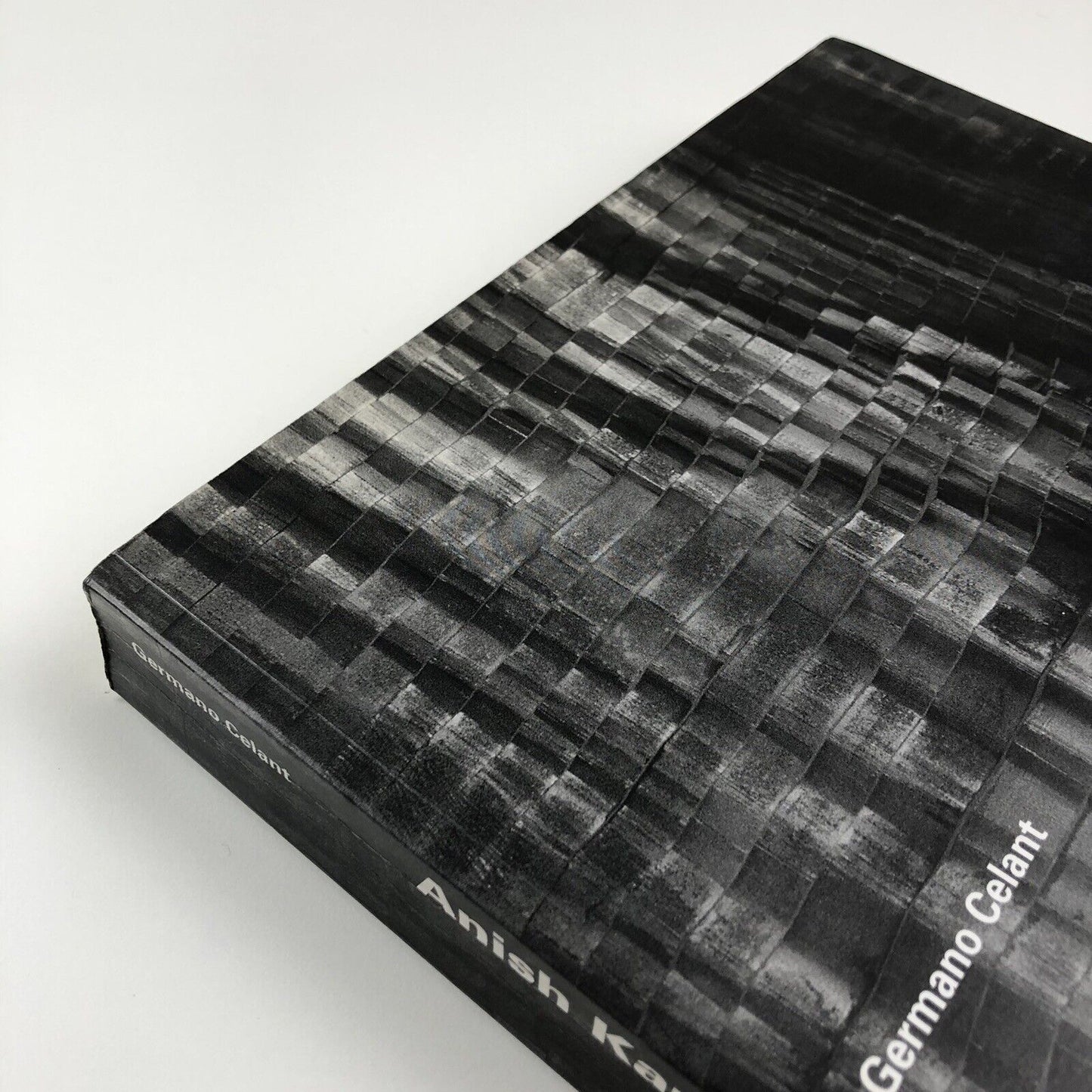 Anish Kapoor by Germano Celant | Edizioni Charta, 1996