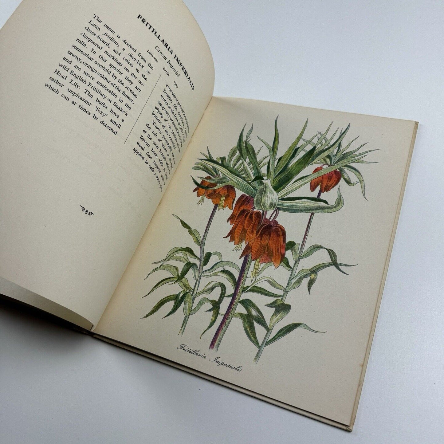 English Garden Flowers by John Nash | Duckworth, London, 1948