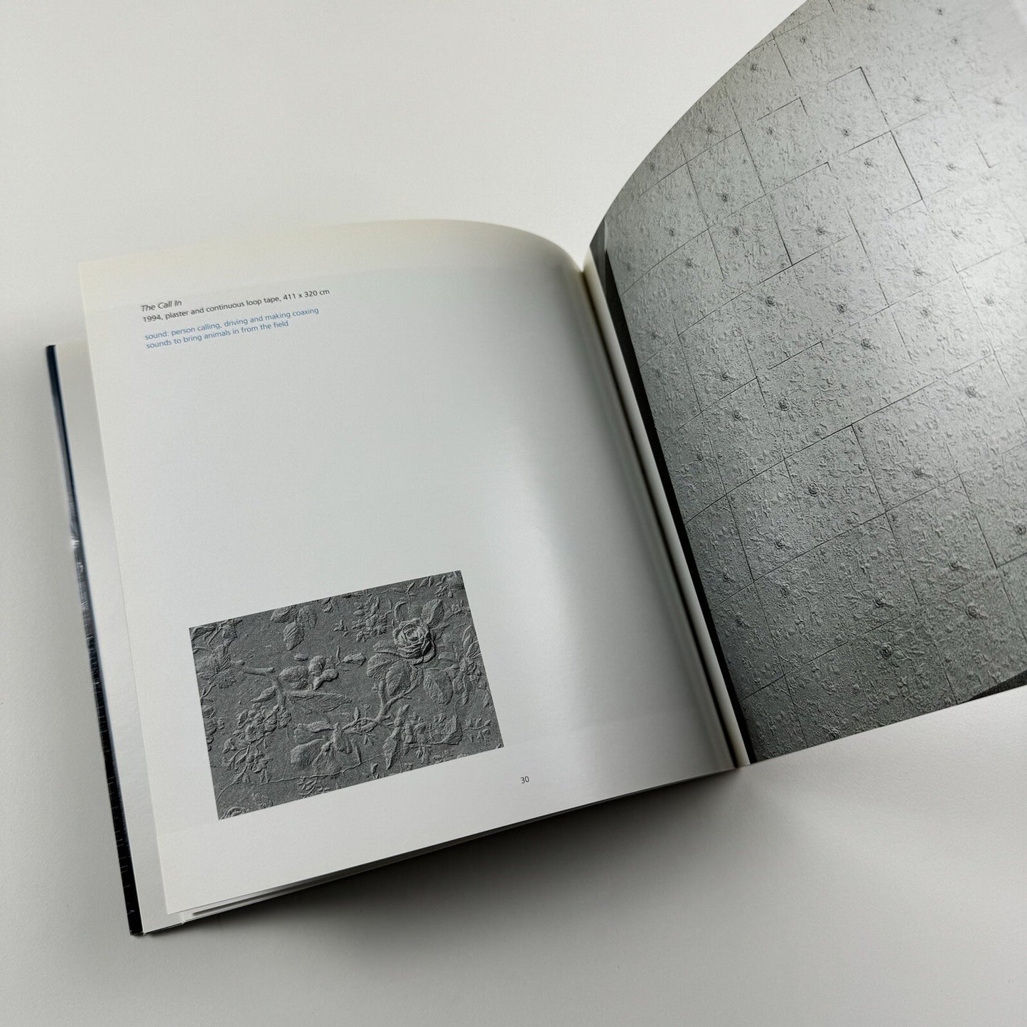 Profile 23. Daphne Wright | Limerick City Gallery of Art | Gandon Editions, 2006