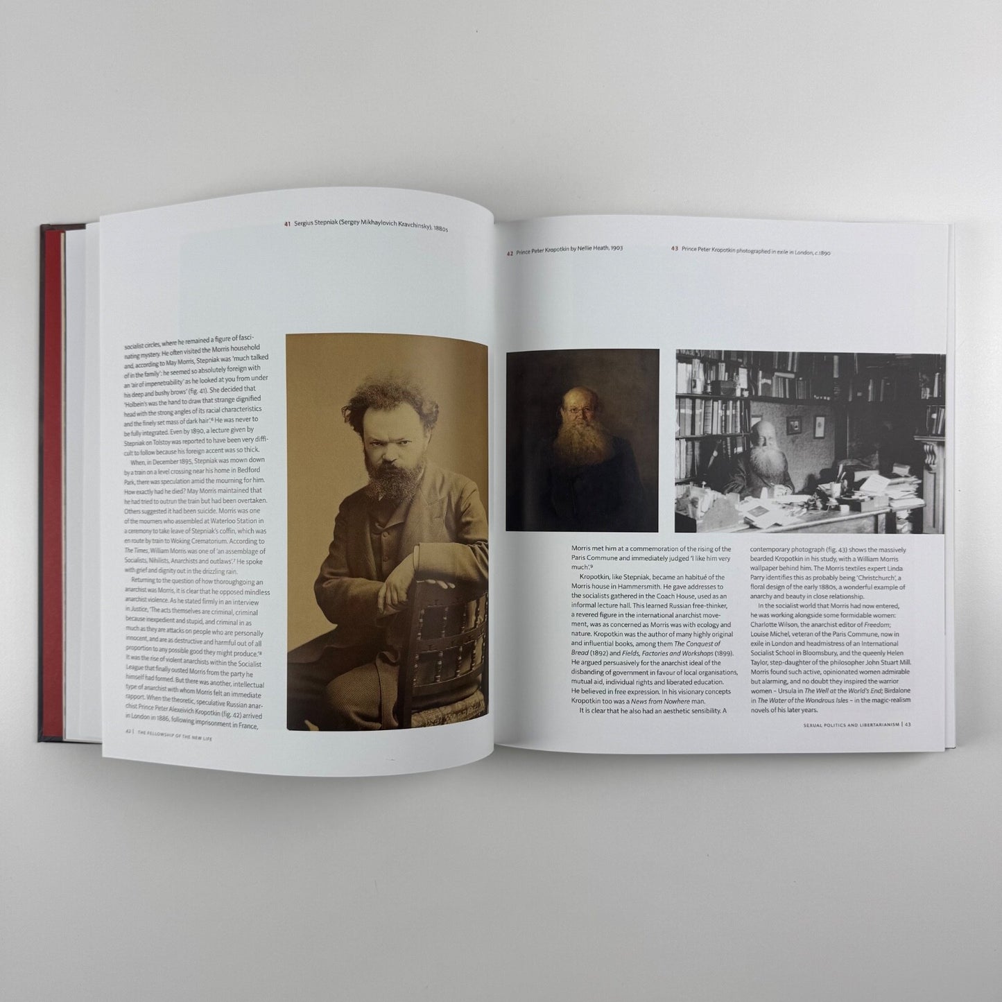 Anarchy & Beauty. William Morris and his Legacy 1860-1960 by Fiona MacCarthy | National Portrait Gallery | Yale University Press, 2014