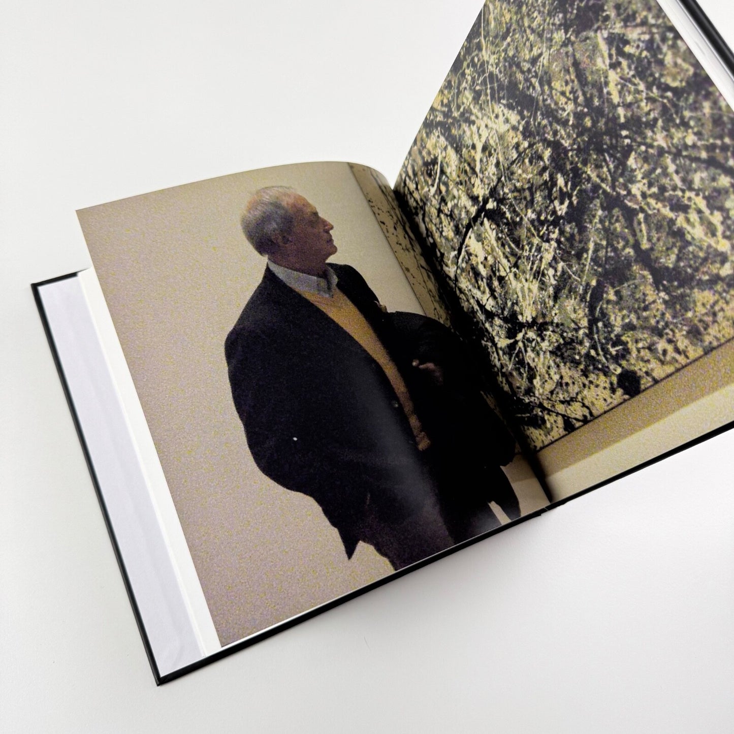 Adriano Ronchini. Gli artisti che ho amato | Edizioni Indisciplinarte, Terni, 2012