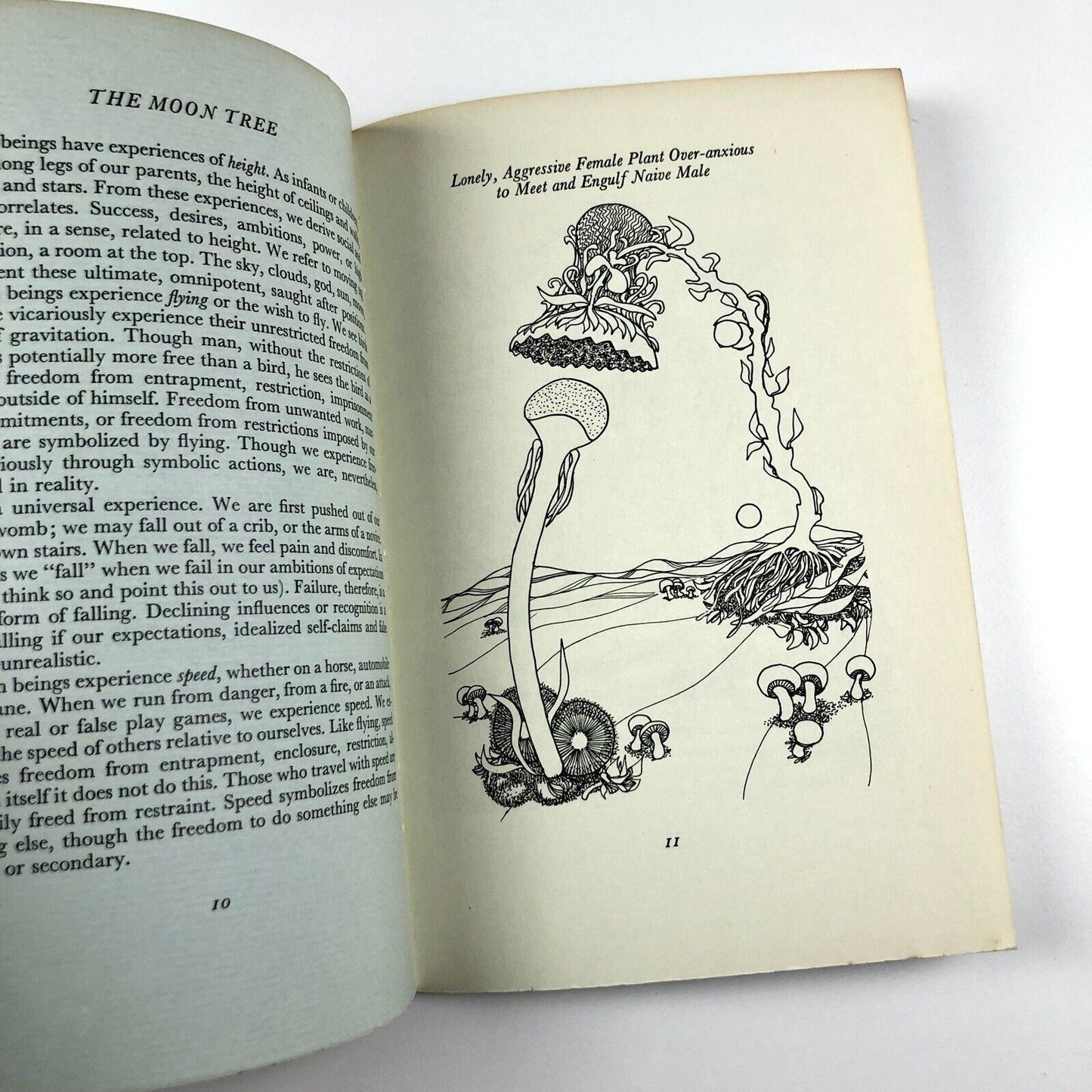 The Moon Tree. An Essay on the Symbolic in Art written and illustrated by Duncan Killen | School of Design, Oxford Polytechnic, 1971 | limited edition signed and numbered