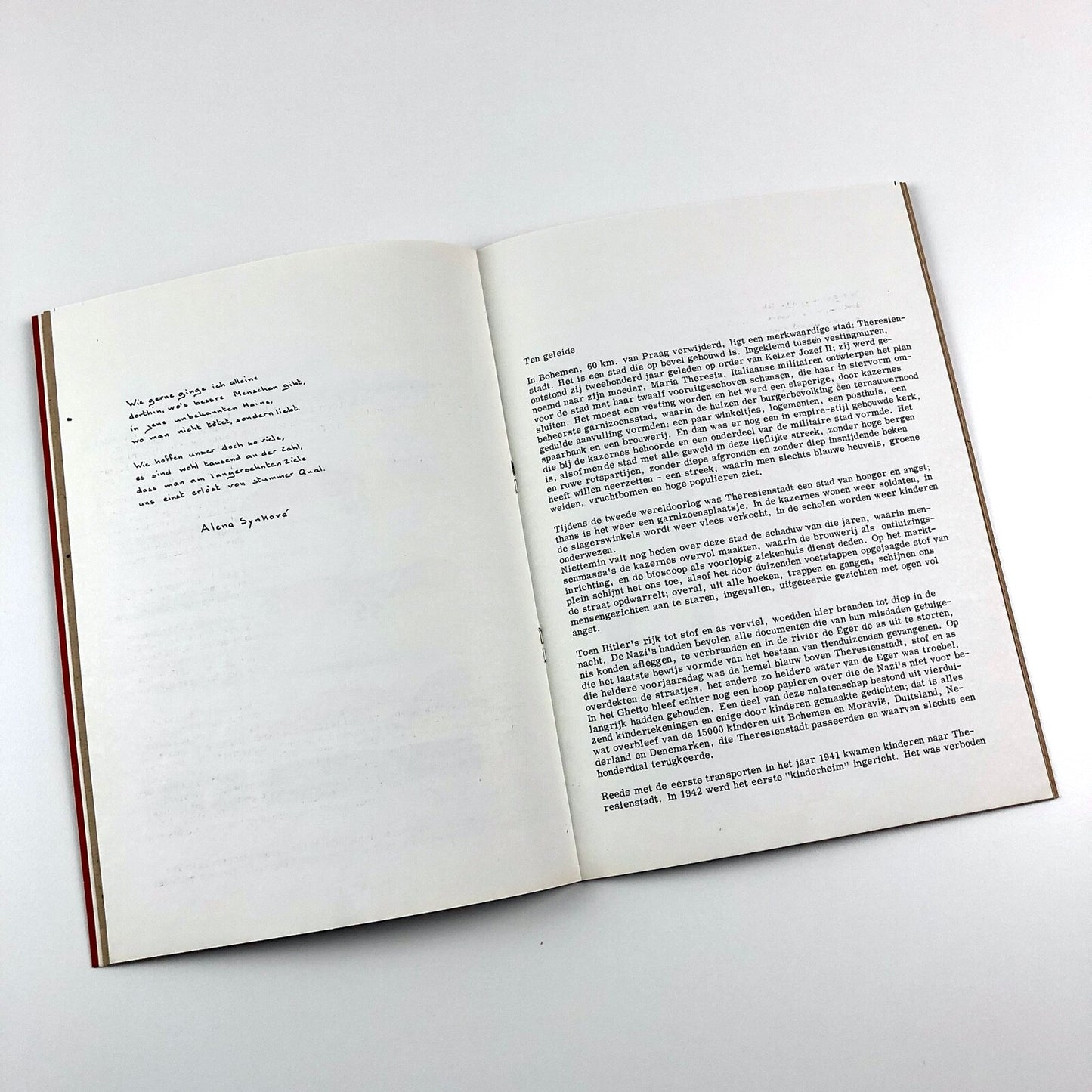Een vlinder heb ik hier niet gezien | Museum Fodor catalogue | No. 239, 1960