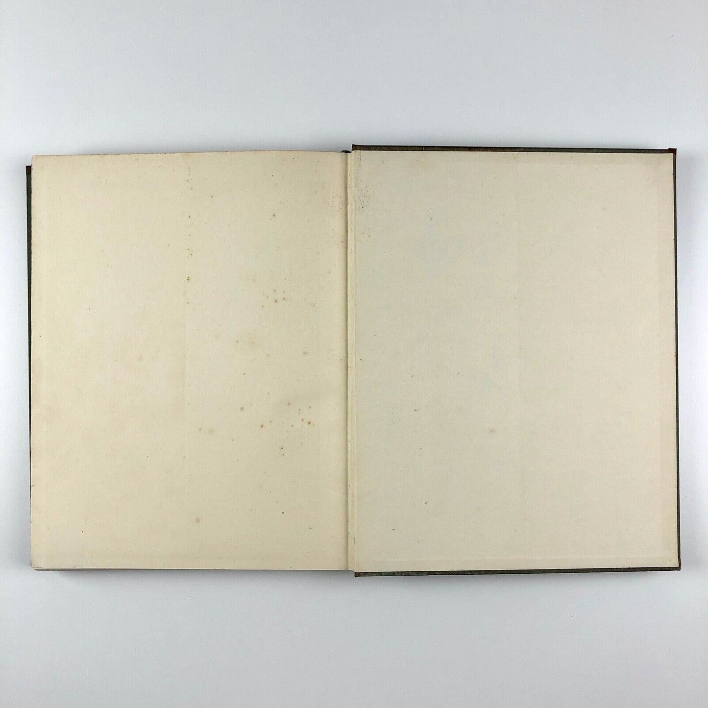 Fine Prints of the Year 1933 | Edited by Malcolm C. Salaman | Halton & Co Ltd, 1933