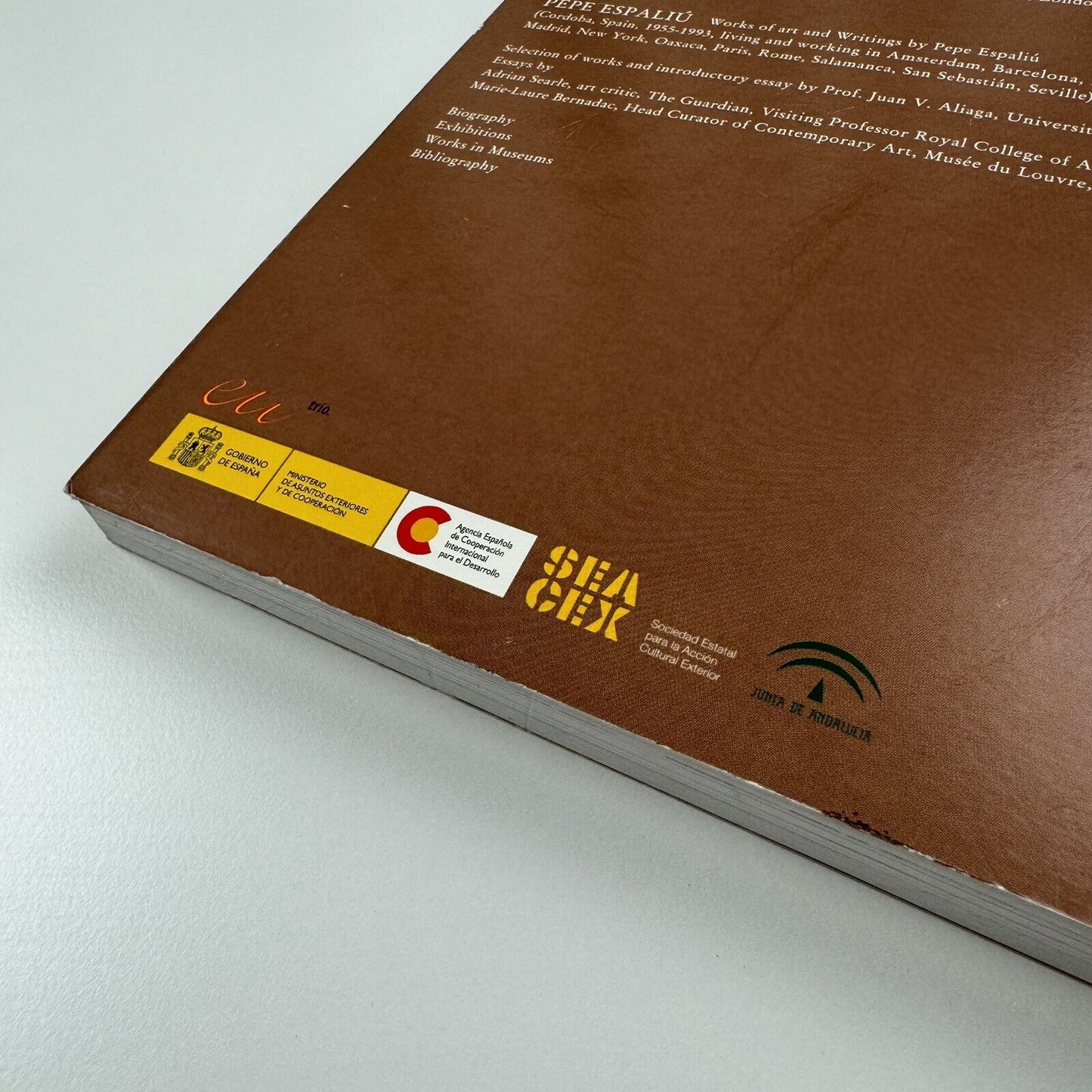 Pepe Espaliú. Artworks and Writings | Documenta Visual Arts Madrid 2007