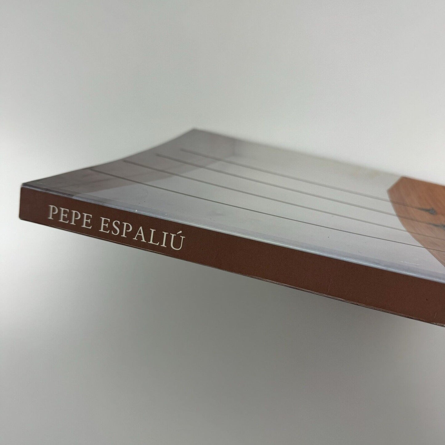 Pepe Espaliú. Artworks and Writings | Documenta Visual Arts Madrid 2007