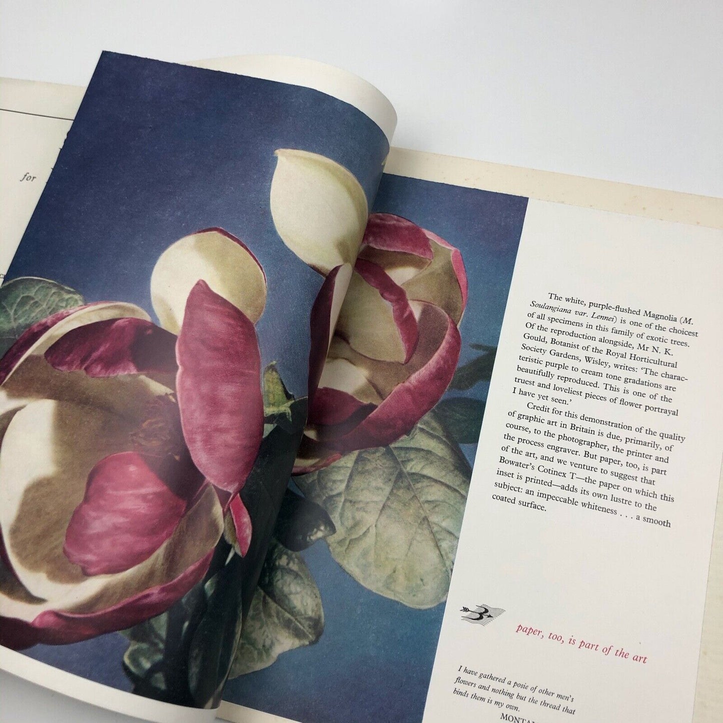 Printing Review magazine | Volume 18, Issue Number 65, Spring 1954 | edited by C. Cousland