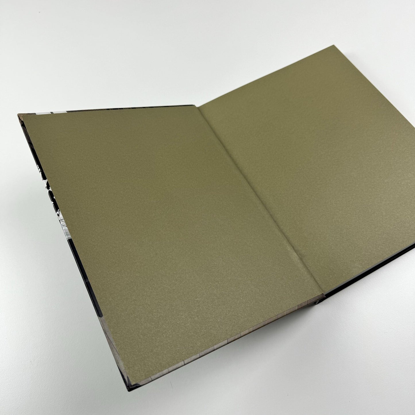 Regina Silveira | Text by Luciana Brito, Adolfo Montejo Navas et al | Charta, 2011