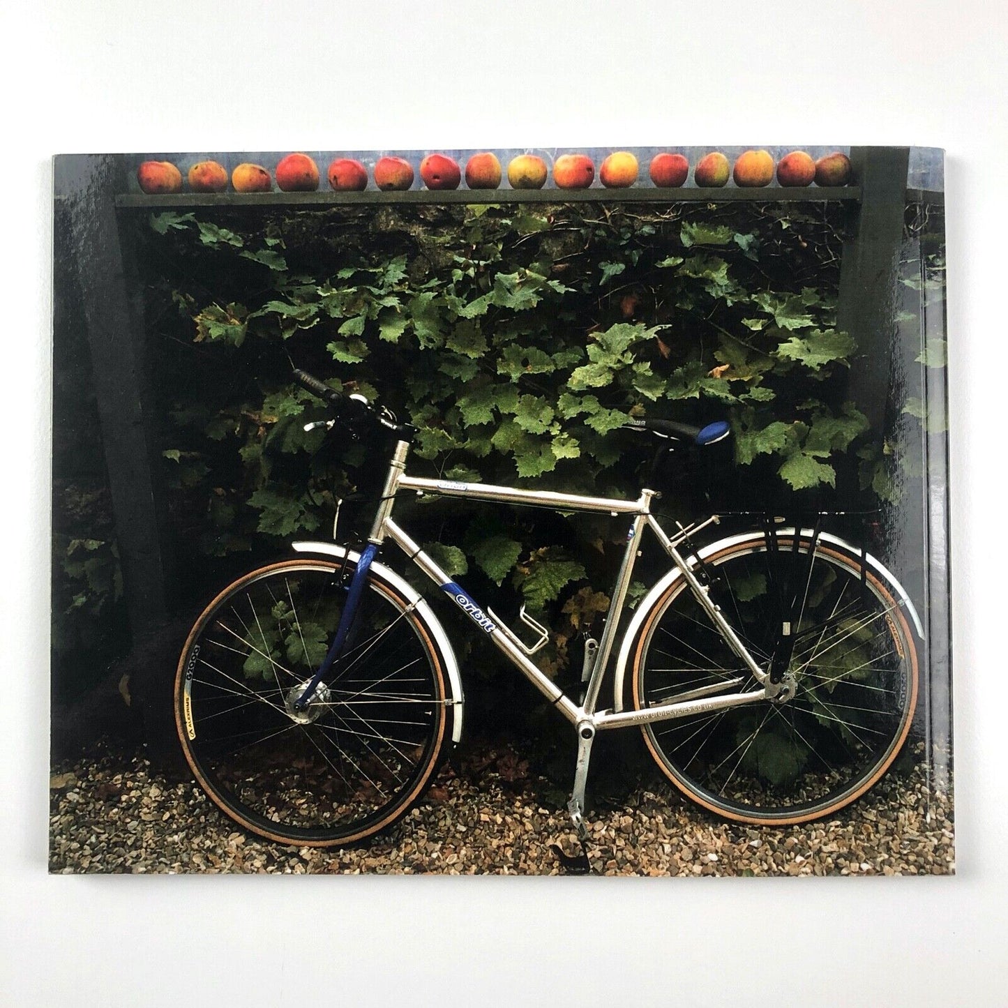 Bicycles – Objects of Grace, Charm & Utility | Michael Harvey 47 Edition | 2008