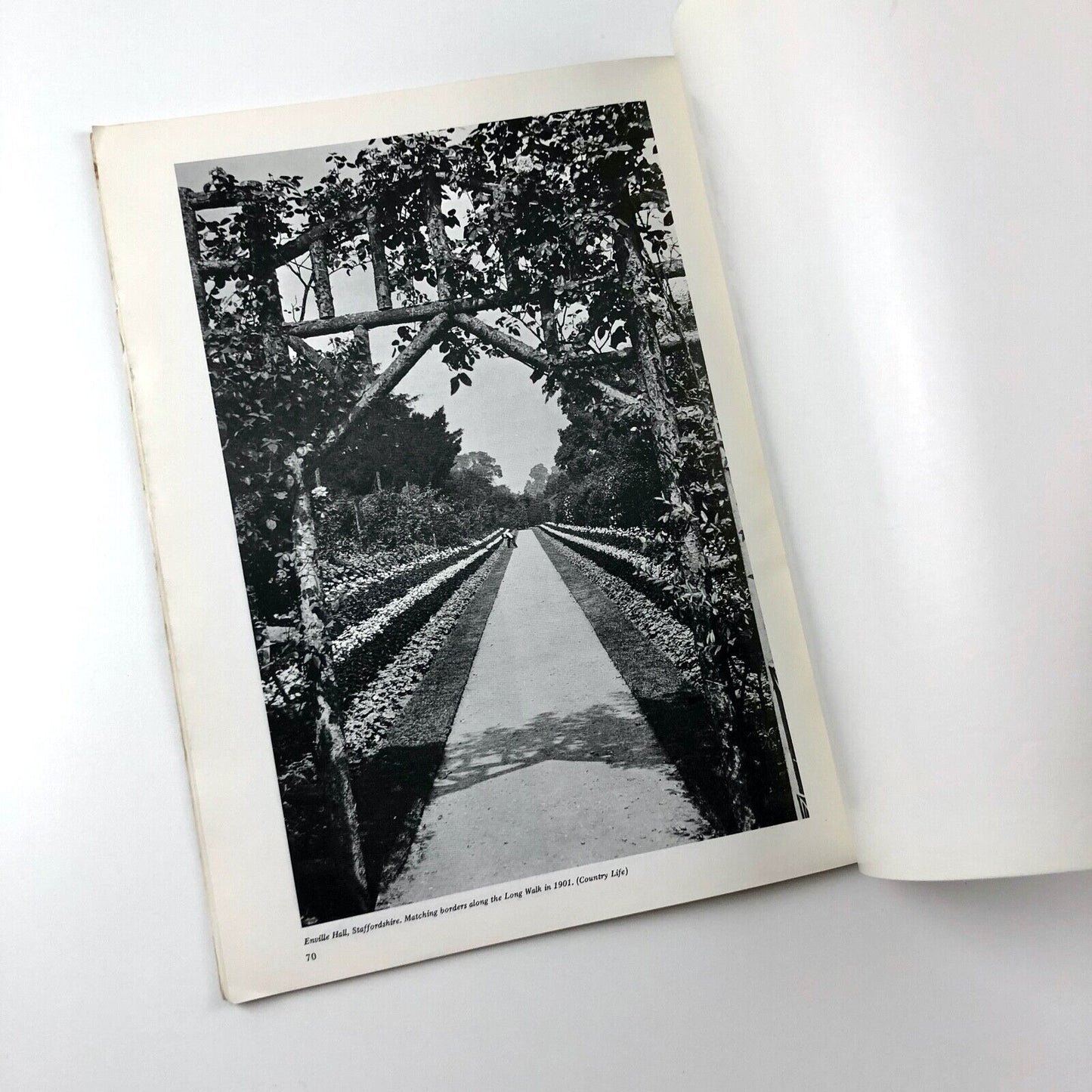 Elysian Gardens "Save Britain's Heritage" | Campaign journal, 1979 Hills/Binney