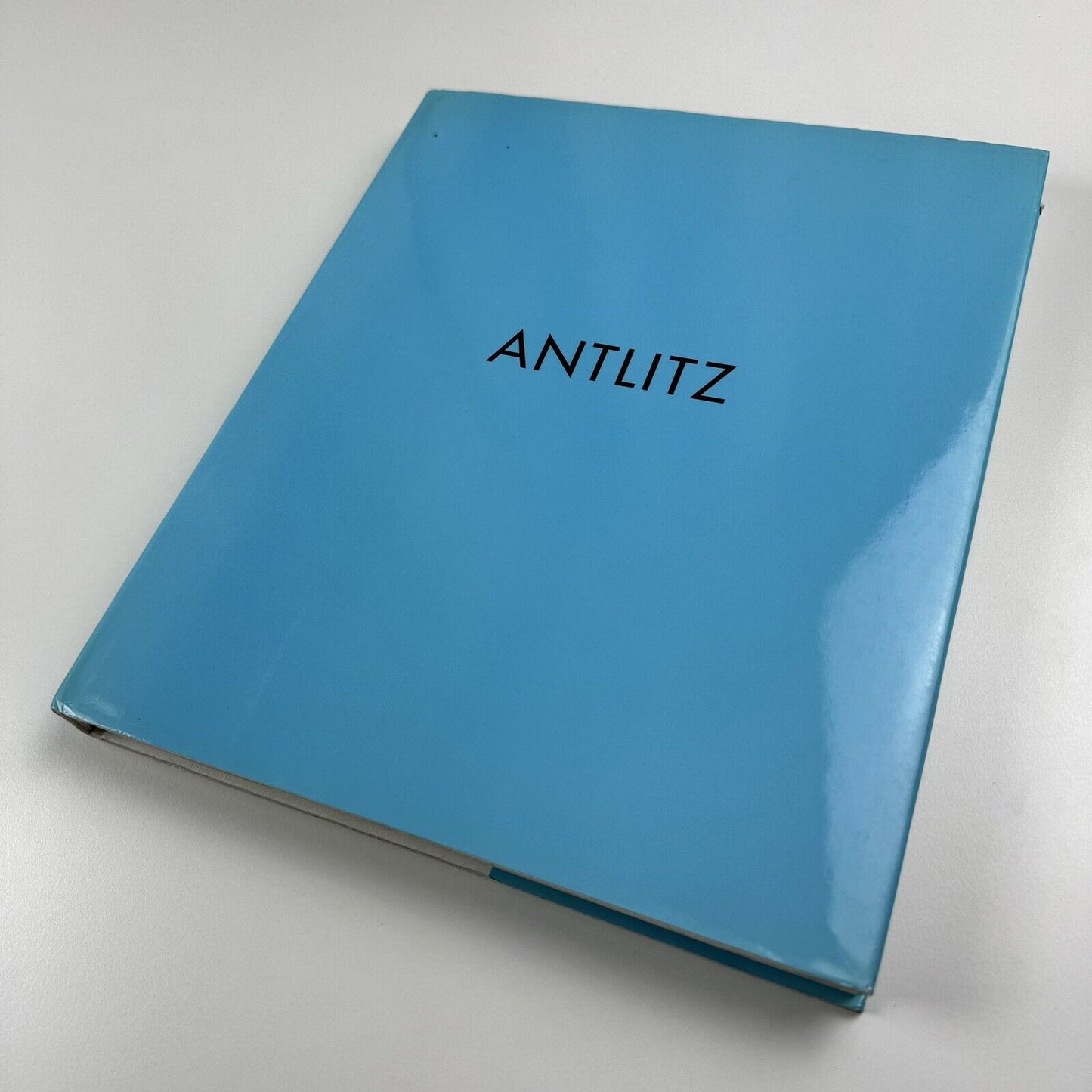 Antlitz: Countenance | Face, Head & Portrait in Contemporary Art | Galerie Thaddaeus