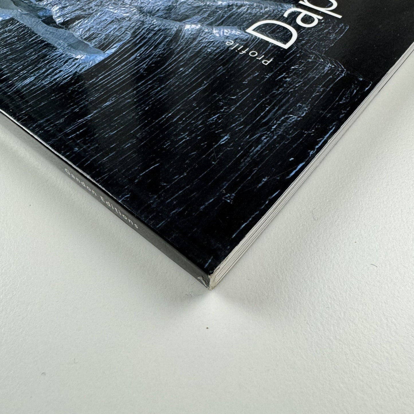 Profile 23. Daphne Wright | Limerick City Gallery of Art | Gandon Editions, 2006