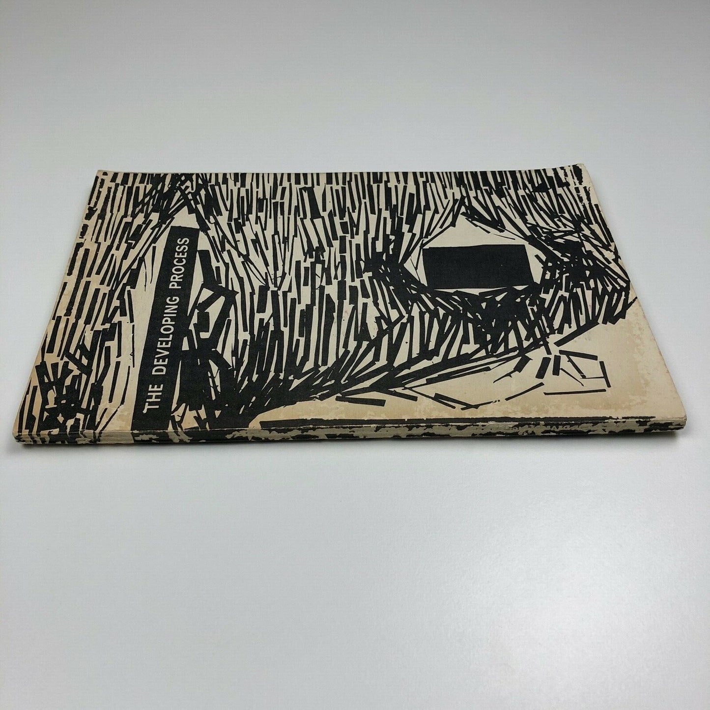 The Developing Process | Designed by Richard Hamilton | Organised by Victor Pasmore, Harry Thubron, Richard Hamilton, Tod Hudson, with Terry Frost, Alan Davie, Hubert Dalwood, Lawrence Gowing and Eric Taylor | ICA, London, 1959 | King's College, Newcastle