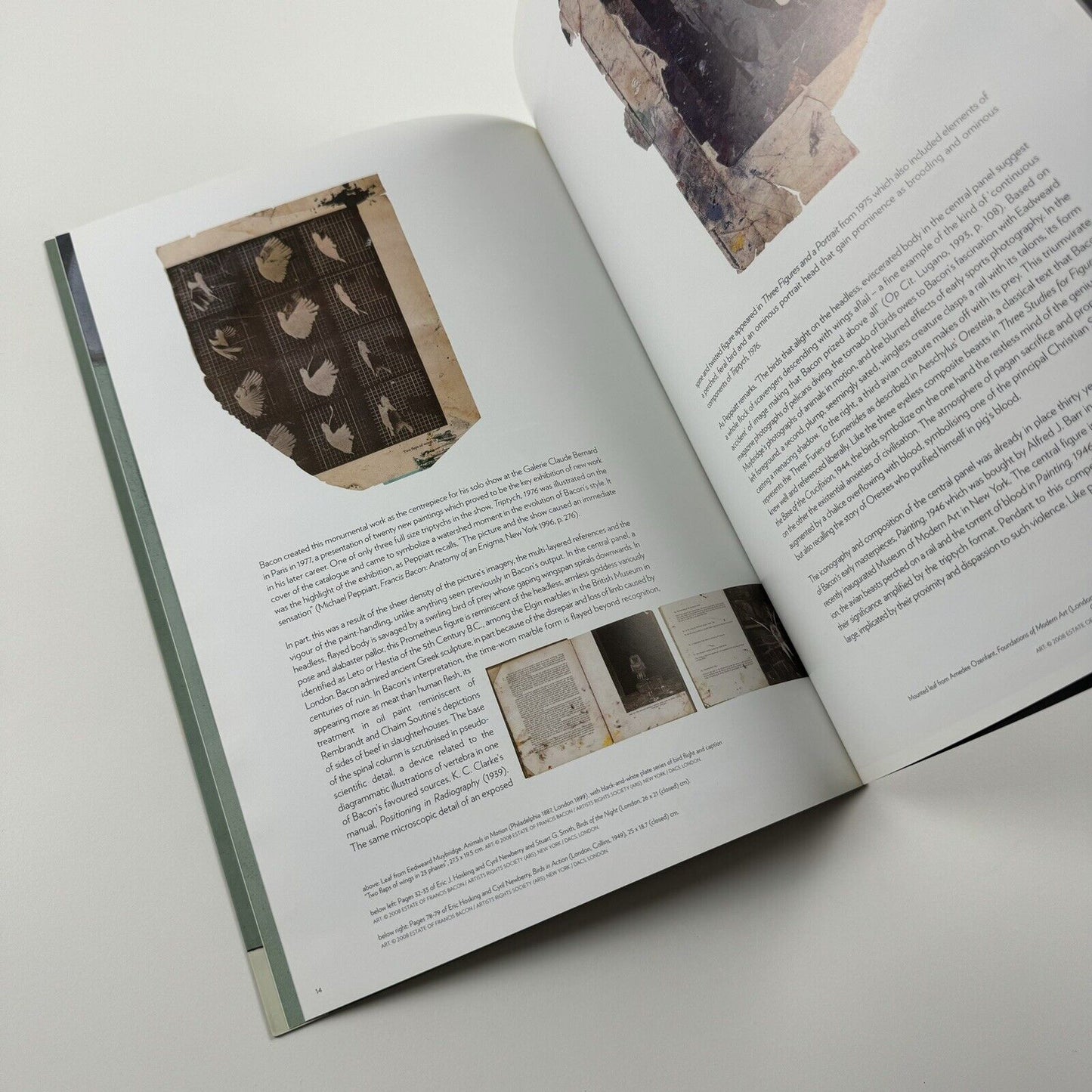 Francis Bacon Triptych, 1976 | Sotheby's New York sale catalogue, 14 May 2008
