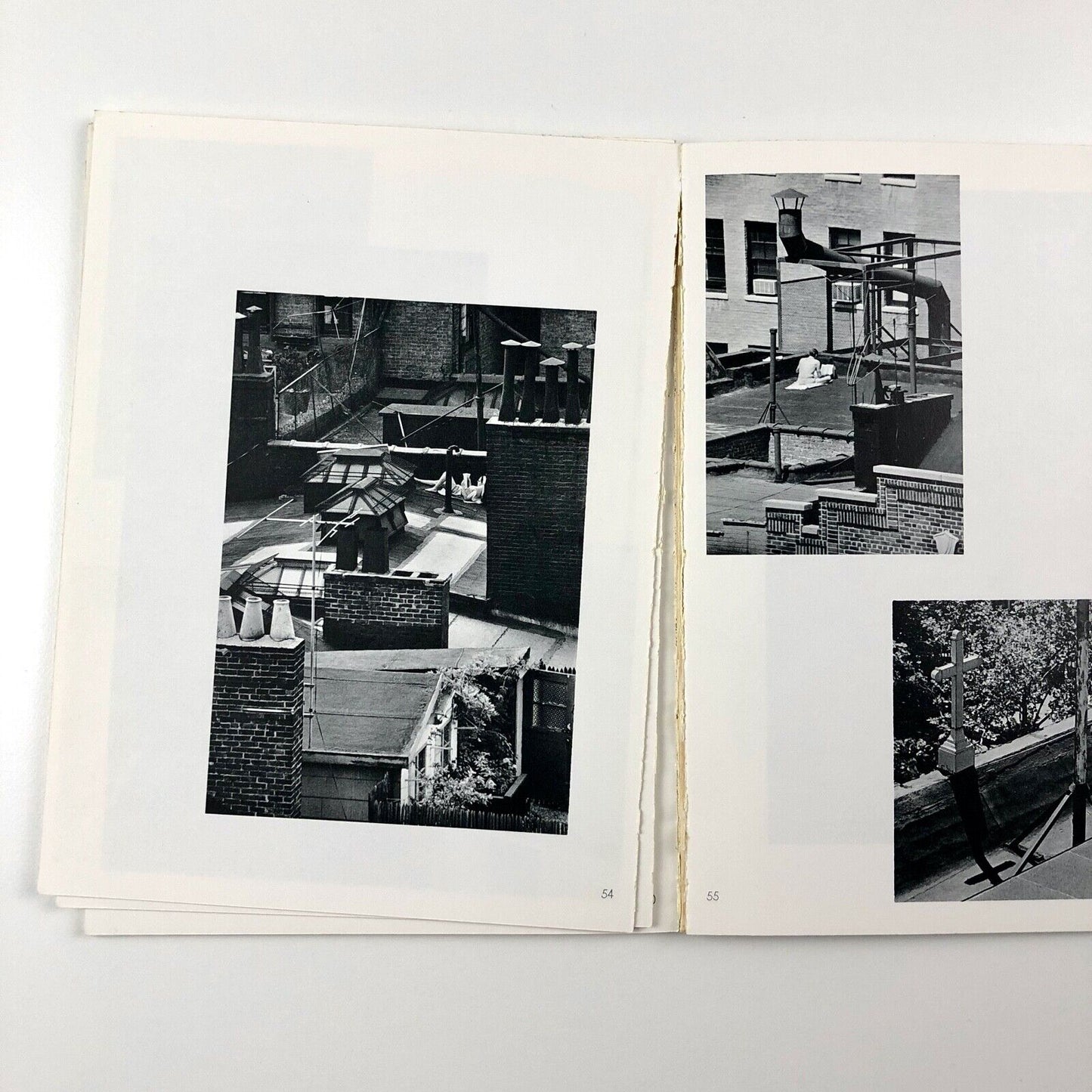 André Kertész – On Reading | Penguin Books, 1982