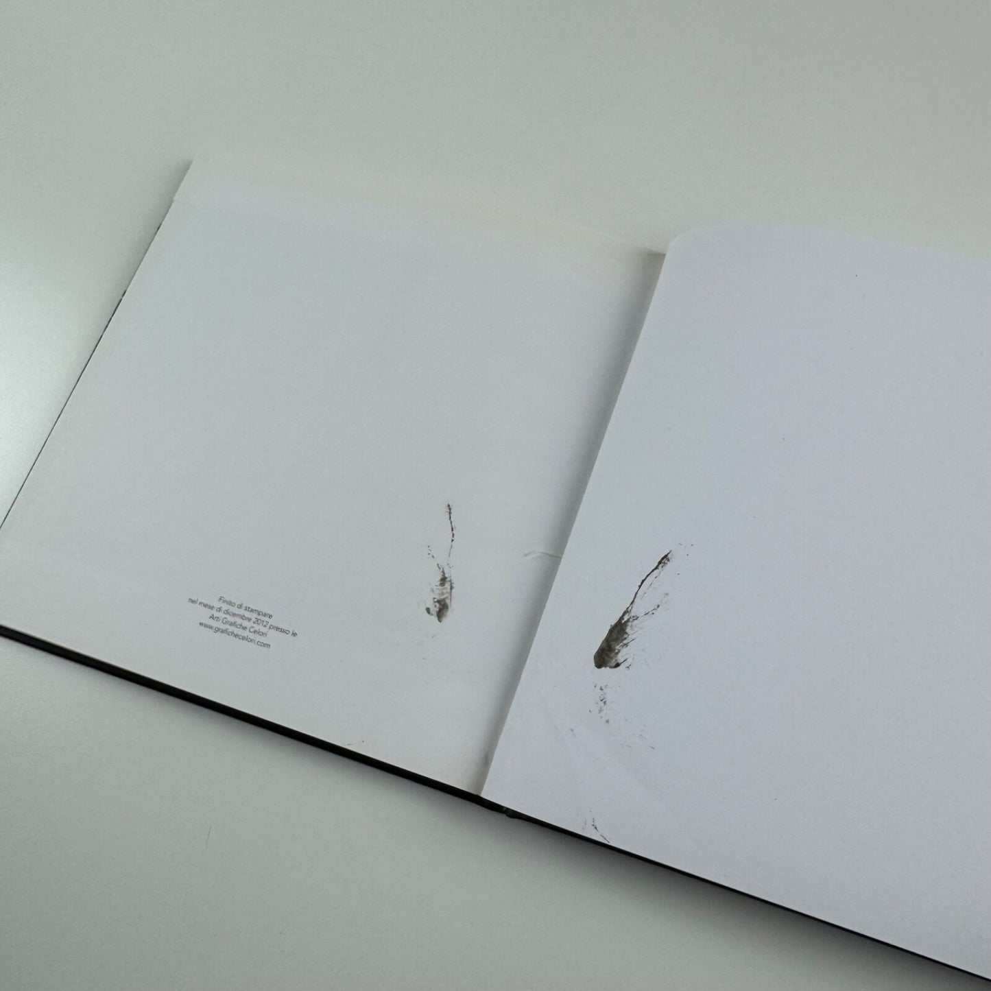Adriano Ronchini. Gli artisti che ho amato | Edizioni Indisciplinarte, Terni, 2012
