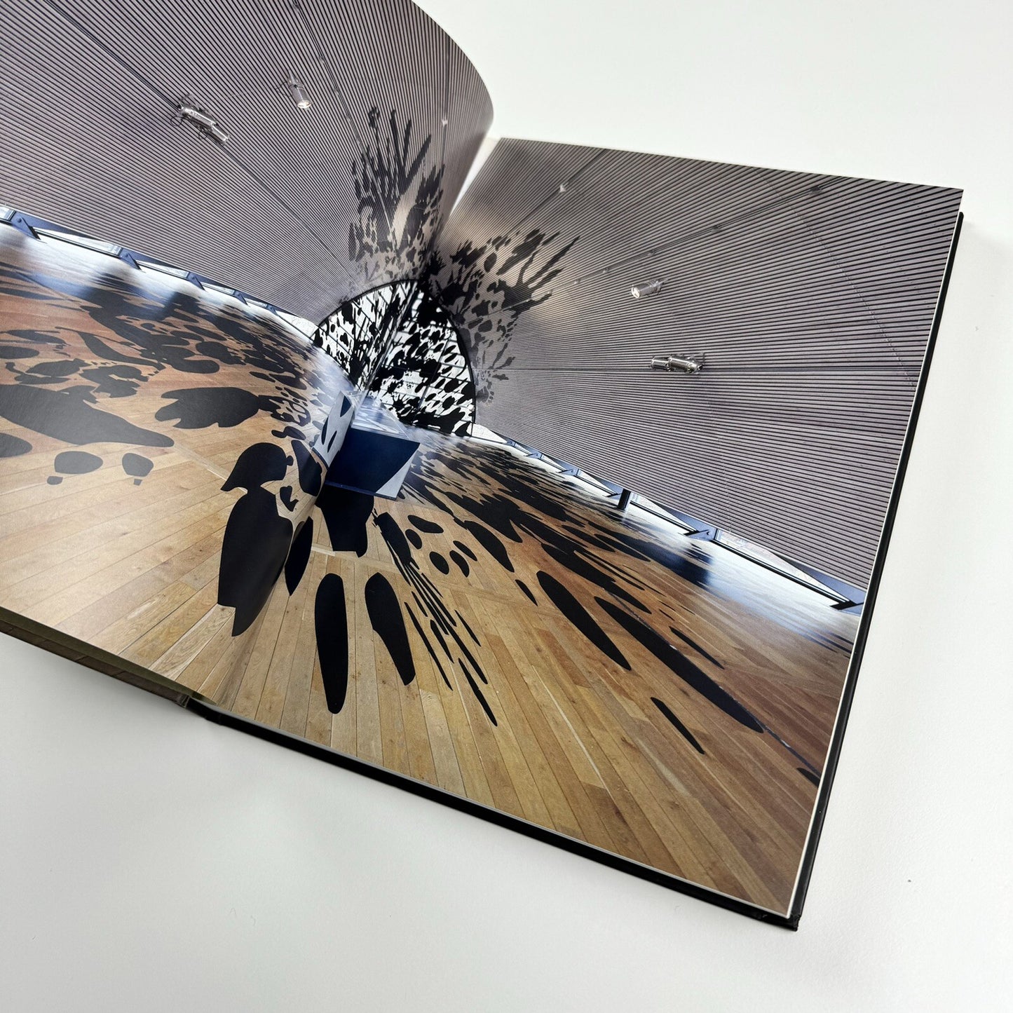 Regina Silveira | Text by Luciana Brito, Adolfo Montejo Navas et al | Charta, 2011
