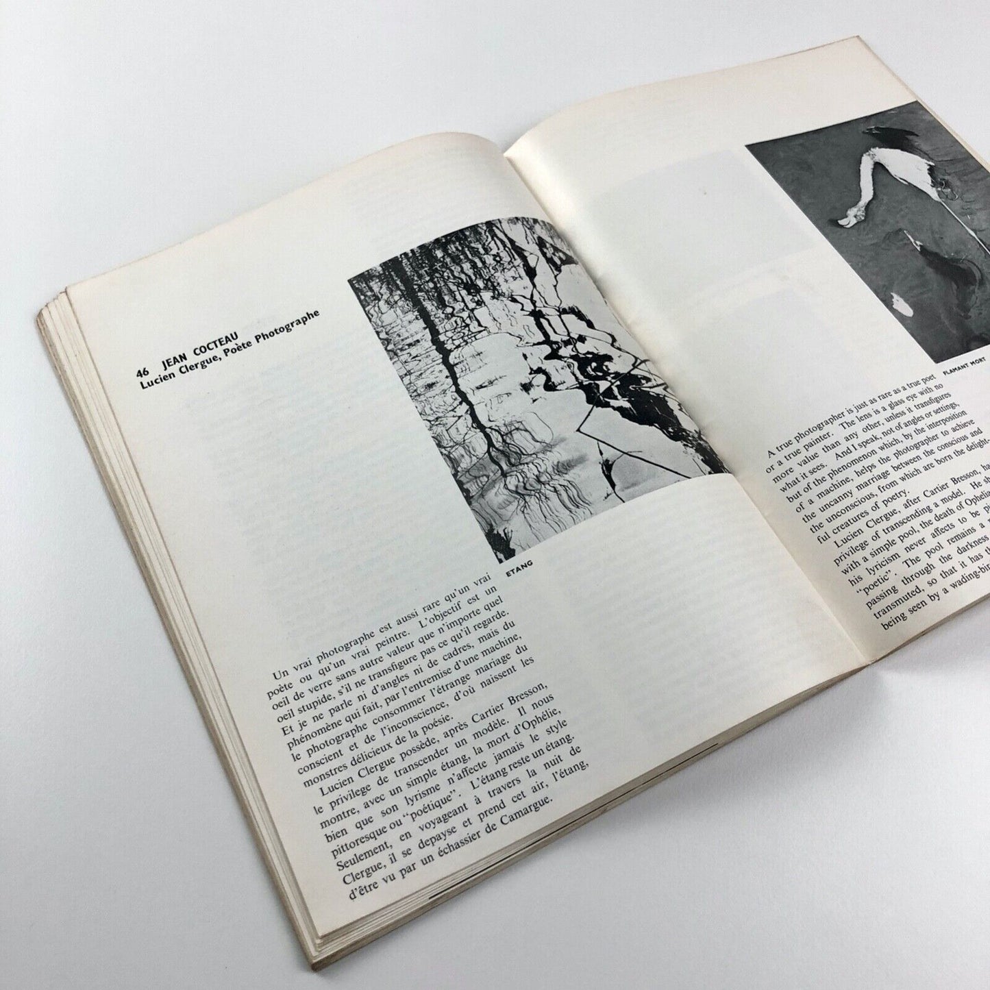 Cambridge Opinion magazine No 21 | France 1945-1960