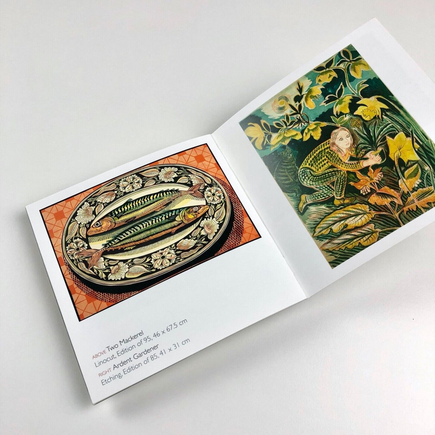 Richard Bawden. Watercolours, Etchings & Linocuts | Bircham Gallery, Holt leaflet