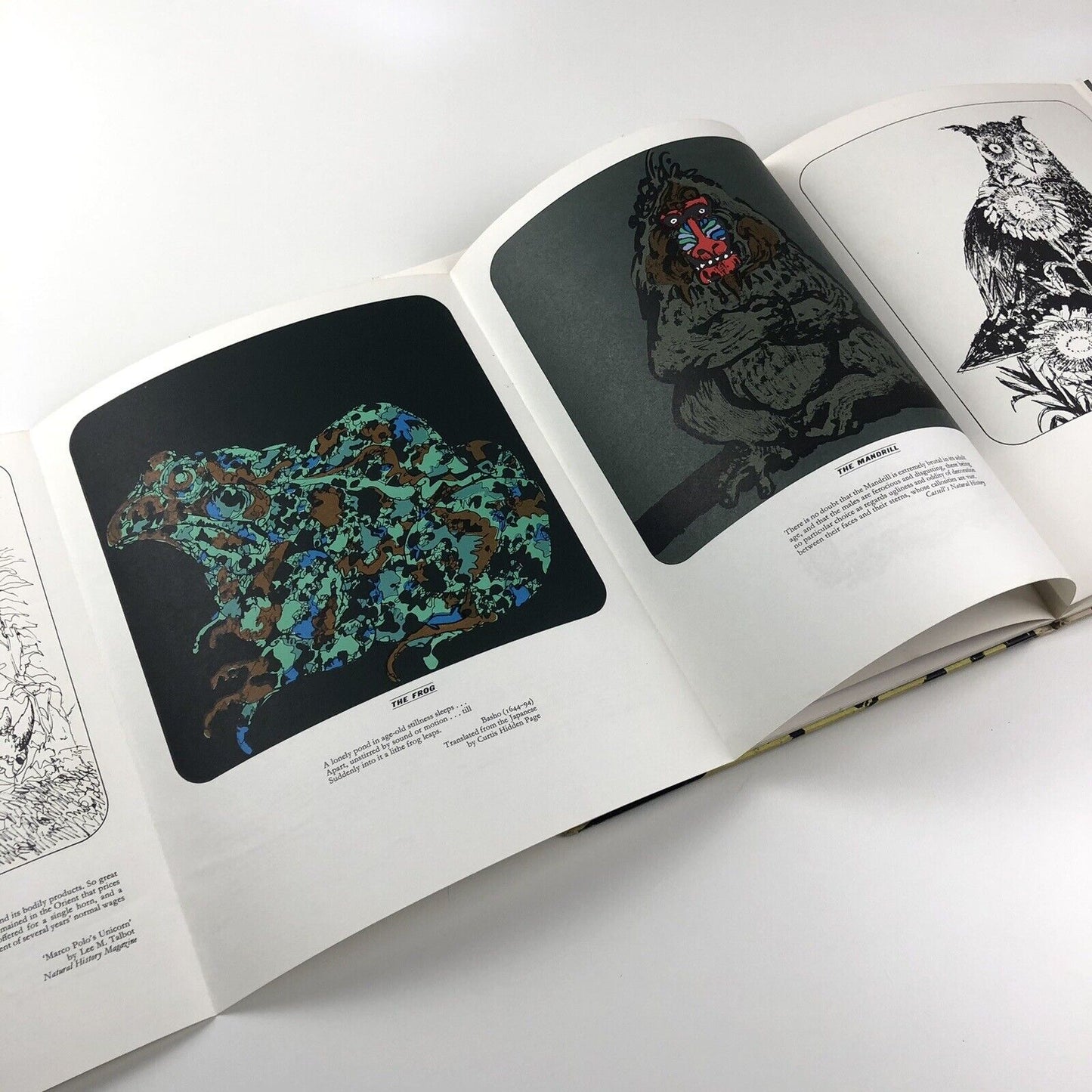 Motif 7 Journal Summer 1961 | Edited by Ruari McLean | The Shenval press