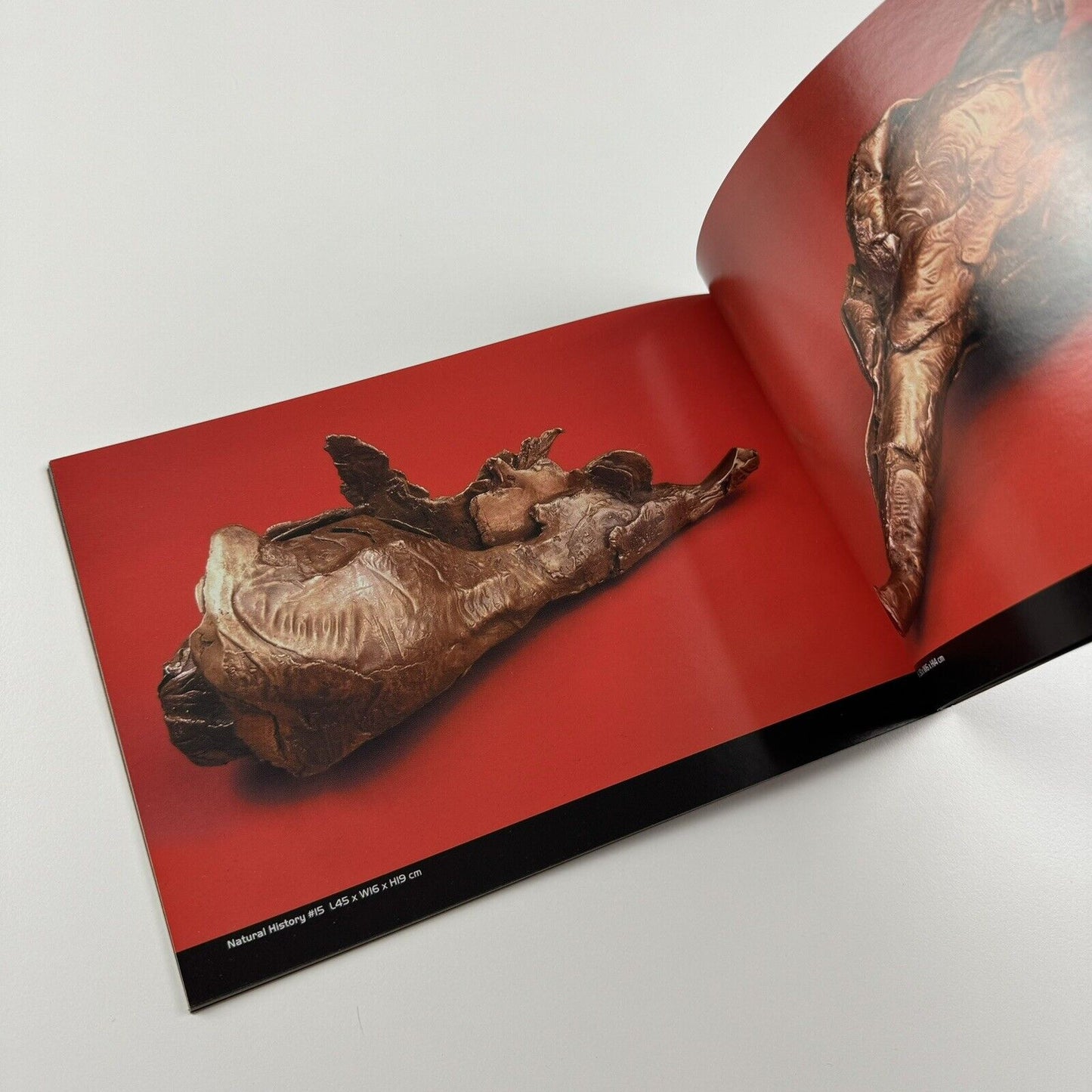Mrinalini Mukherjee. New Bronzes, 2004 | Nature Morte Gallery New Delhi