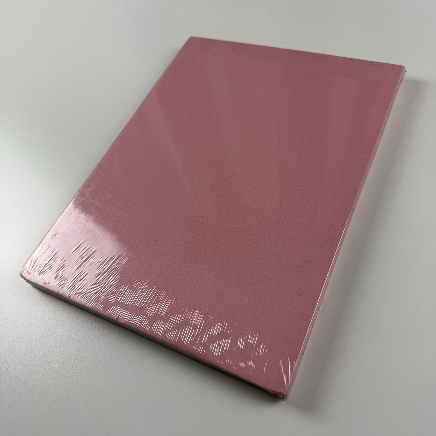 Berlinde De Bruyckere One 2002-2004 | De Pont Museum / La Maison Rouge exhibition catalogue, 2005