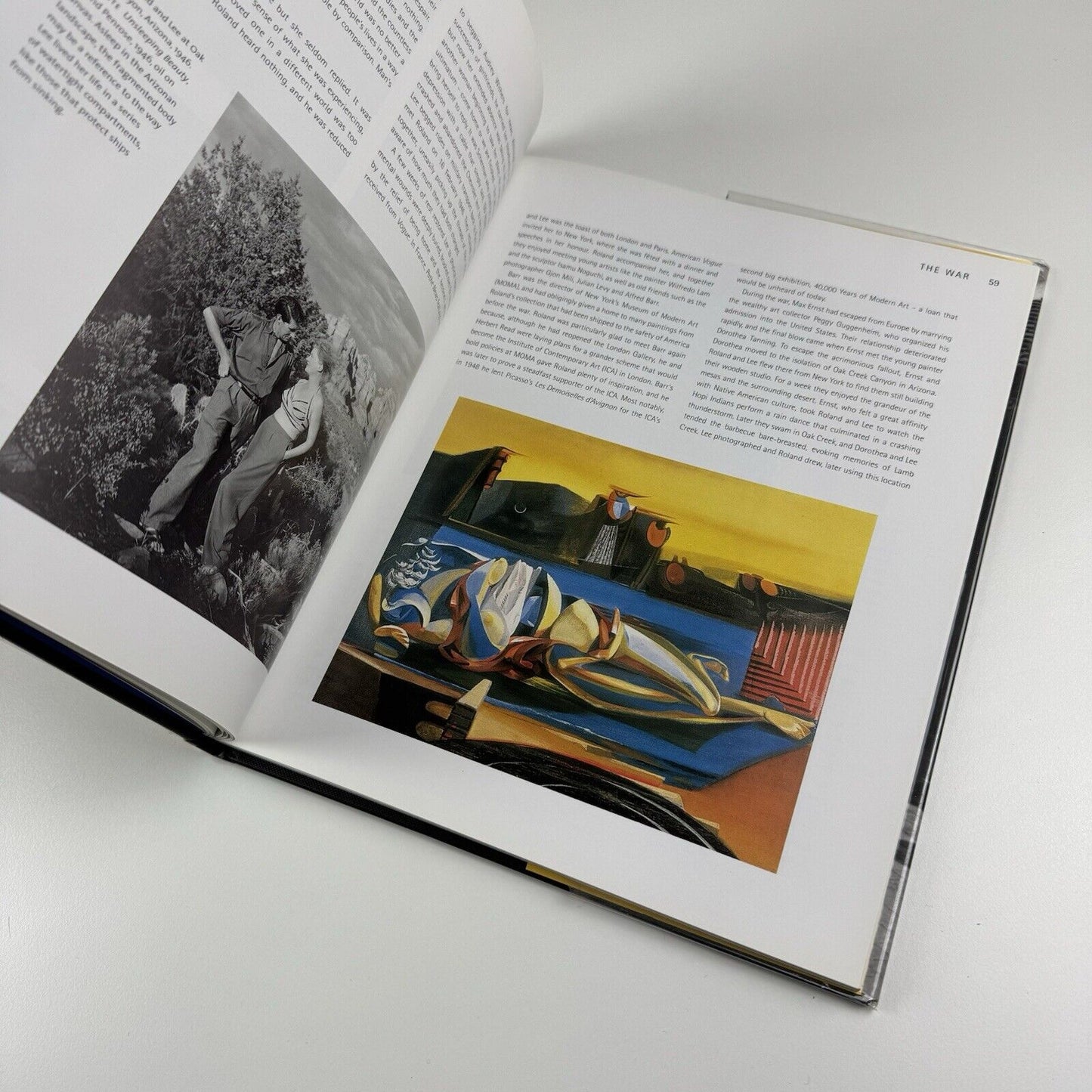 The Home the Surrealists: Lee Miler, Roland Penrose and Their Circle at Farley Farm | Antony Penrose, 2001