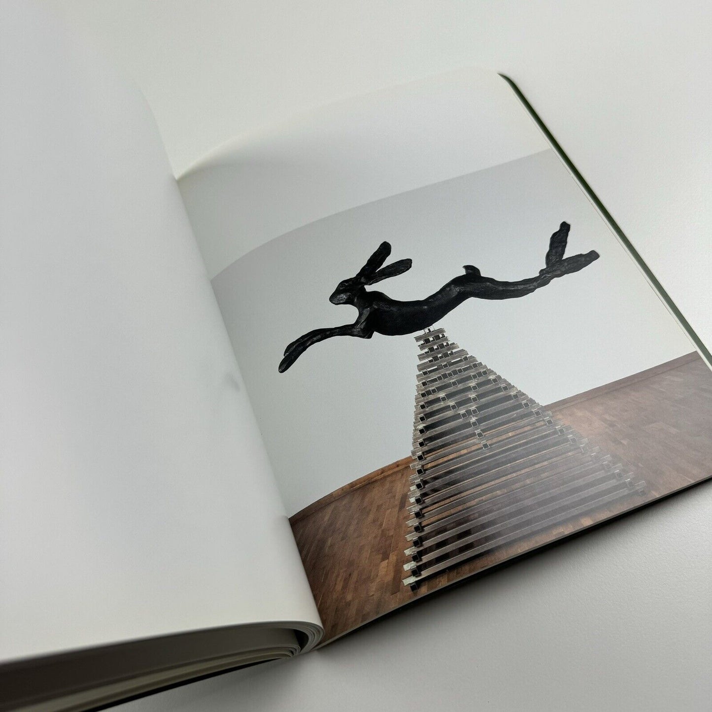 Barry Flanagan Works 1966-2008 | Waddington Galleries, 2010