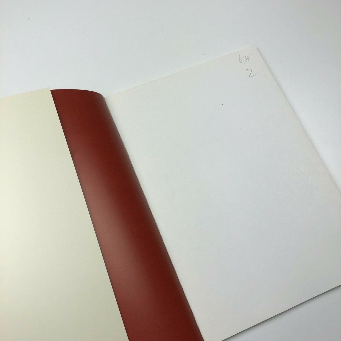 Photography: Discovery and Invention | The J. Paul Getty Museum, 1990