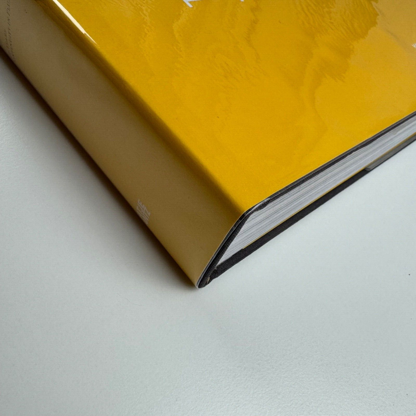 Siemens Industrial Design. 100 Years Continuity in Flux by Christoph A. Hoesch | Hatje Cantz, 2006