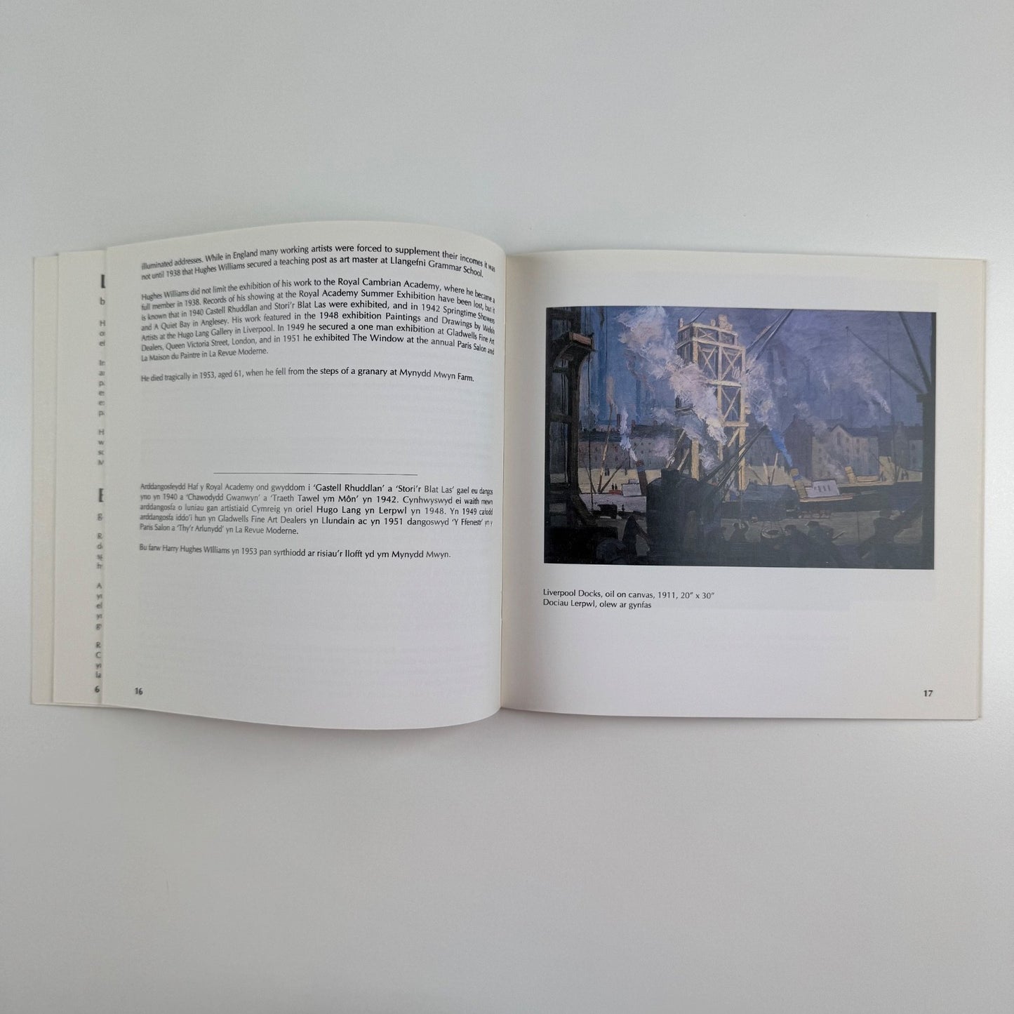 Harry Hughes Williams | Oriel Ynys Môn, 1992