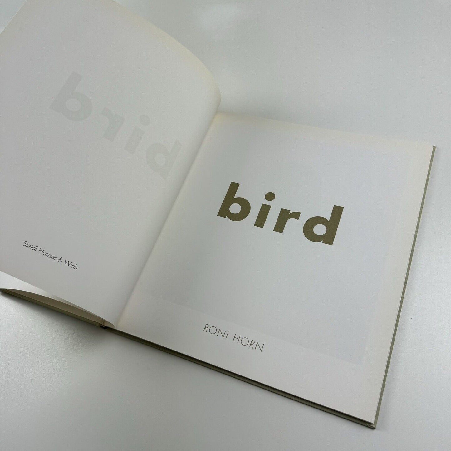 Bird. Roni Horn catalogue | Steidl Hauser & Wirth, London 2008