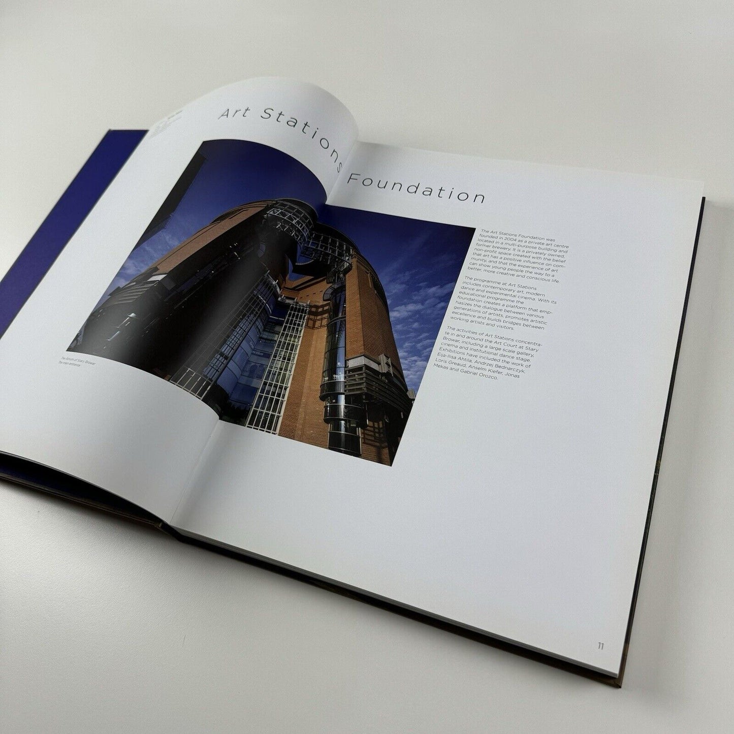 Private Spaces for Contemporary Art by Peter Doroshenko | Rispoli Books, 2010