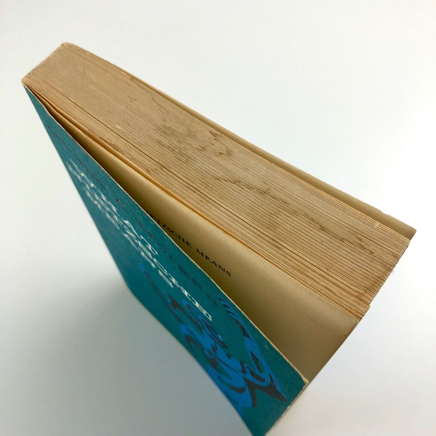 What Nietzsche Means by George A. Morgan | Harper Torchbooks, 1965