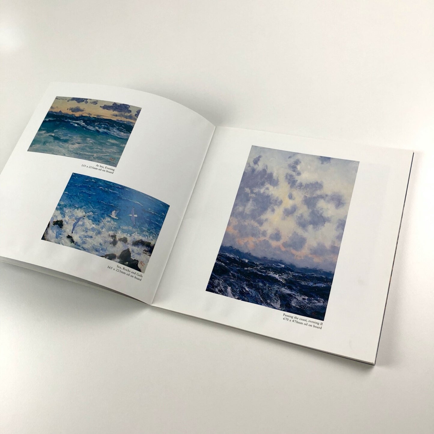 Robert Jones – Sun, Wind and Weather | Foreword by Frances Hewlett, 2002