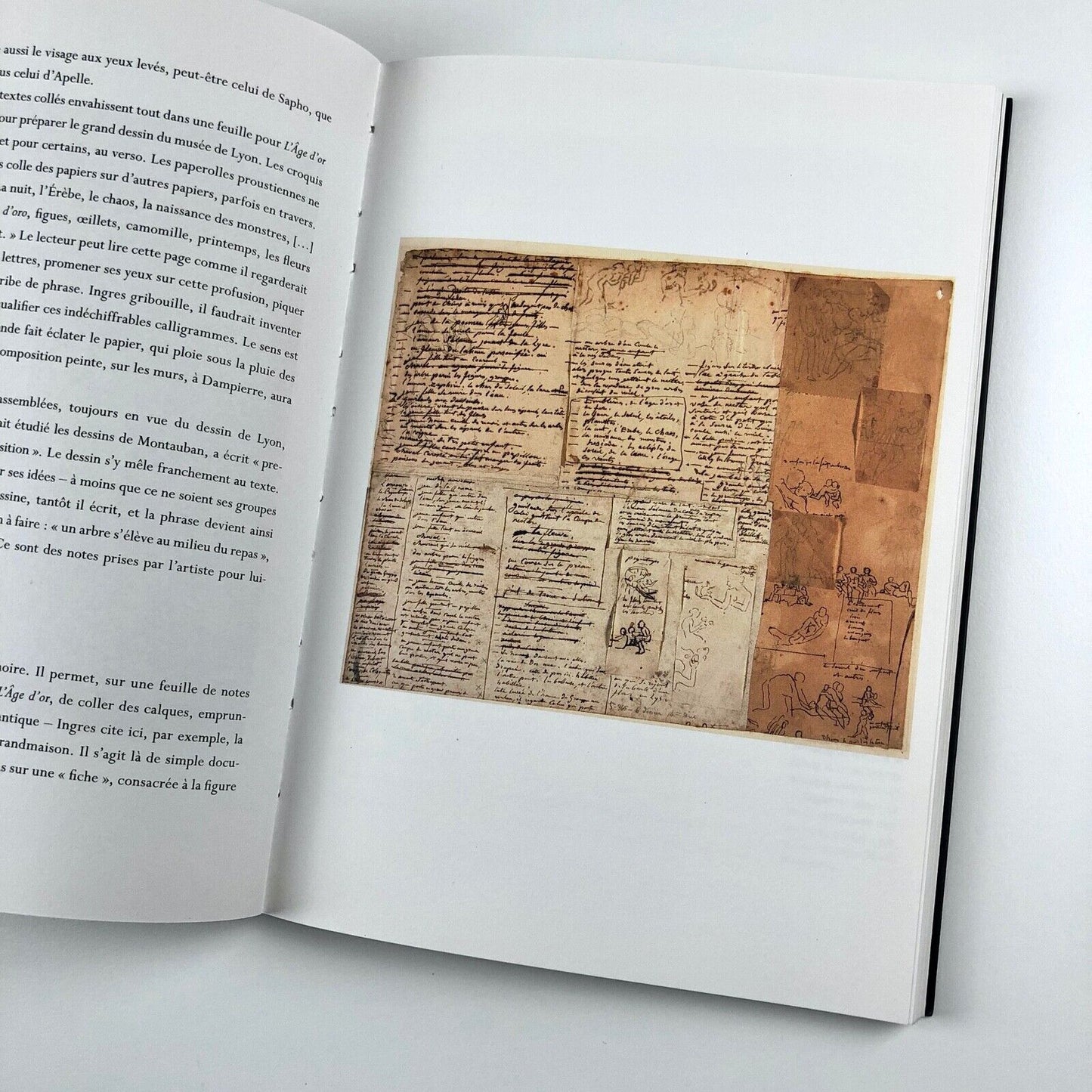 Ingres Collages. Dessins d’Inges de Musée de Montauban | Adrien Goetz, 2006