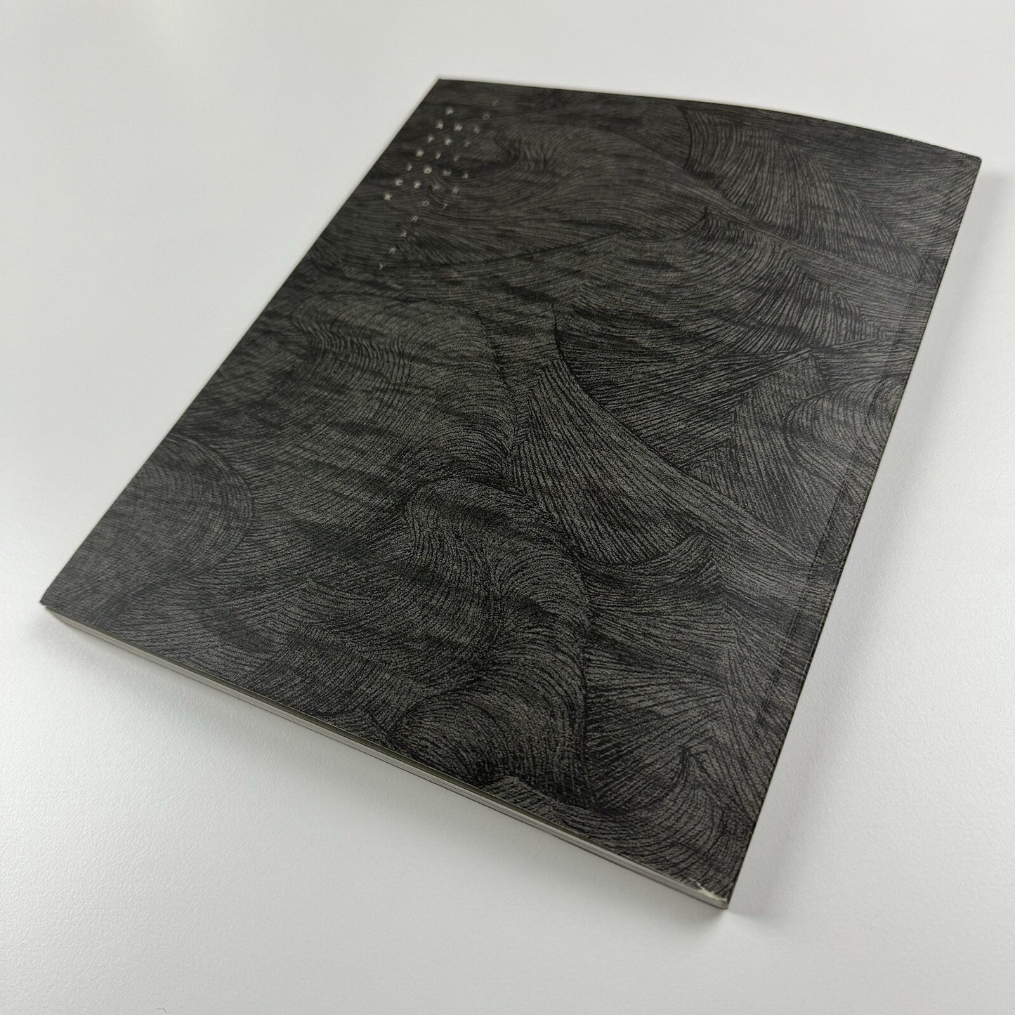 Alex Hamilton. Works 2009 | Patrick Heide Contemporary Art | 2009 exhibition catalogue