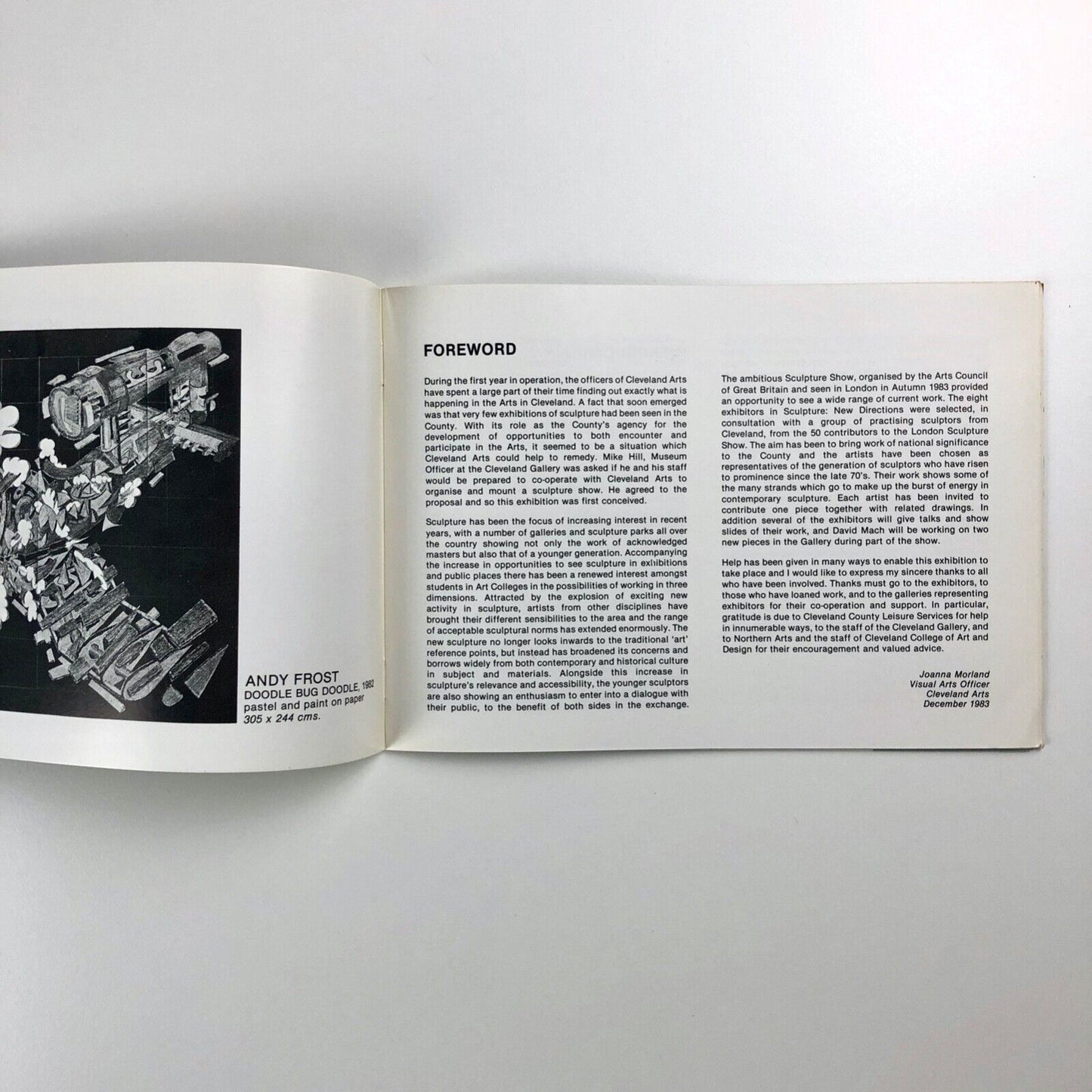 Sculpture New Directions – Cleveland Gallery, 1984 | Laura Ford, Anish Kapoor et al