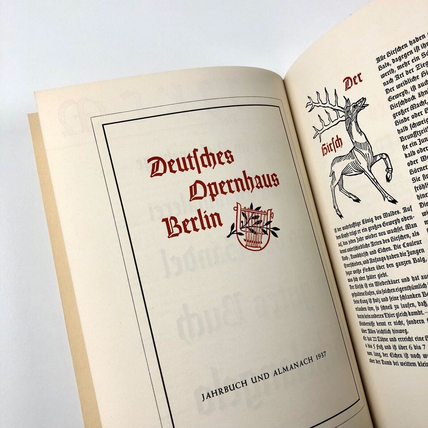 Eine Gotische Schrift type specimen brochure | Weiss-Gotisch E.R. Weiss Bauersche Gießerei