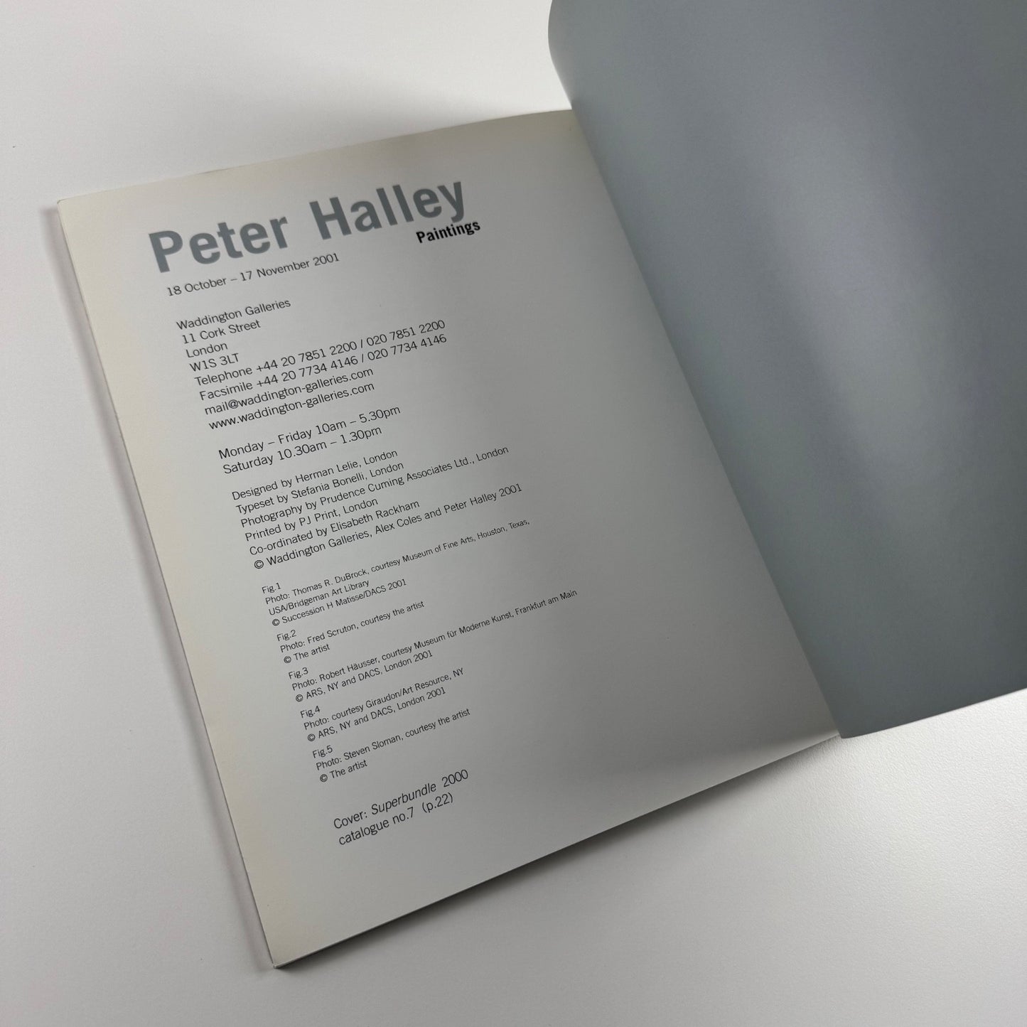 Peter Halley. Paintings | Waddington Galleries, 2001