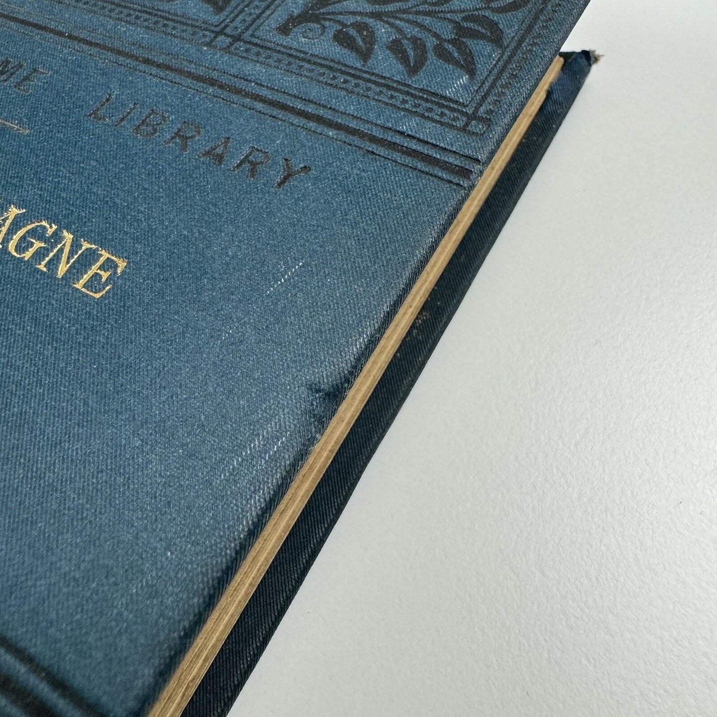 Charlemagne by Rev. Edward L. Cutts | The Home Library, 1882