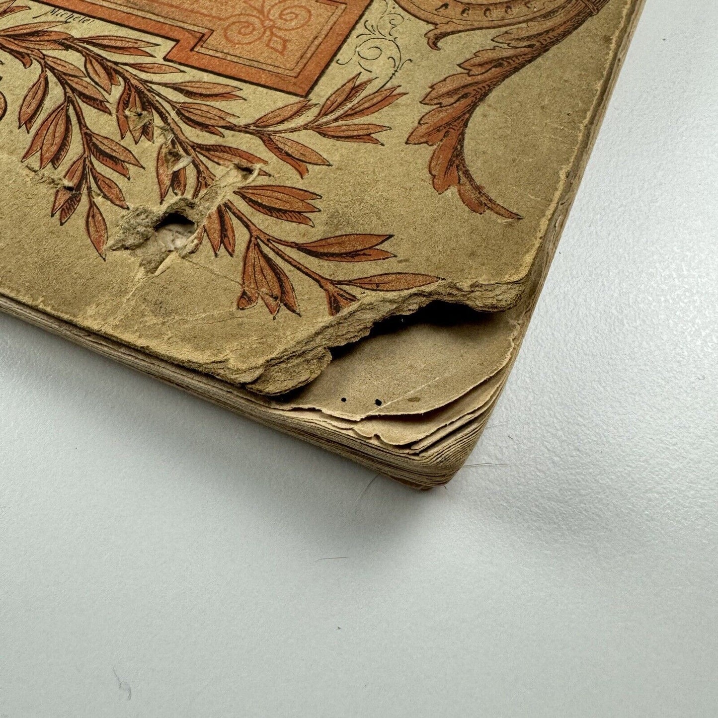 El Caligrafo Moderno | Garnier Hermanos Editores, Paris, 1896