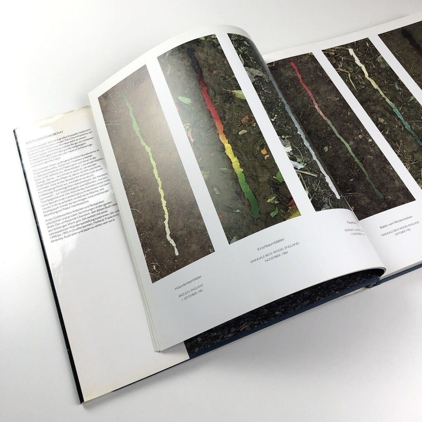 Andy Goldsworthy | Zweitausendeins, 2000