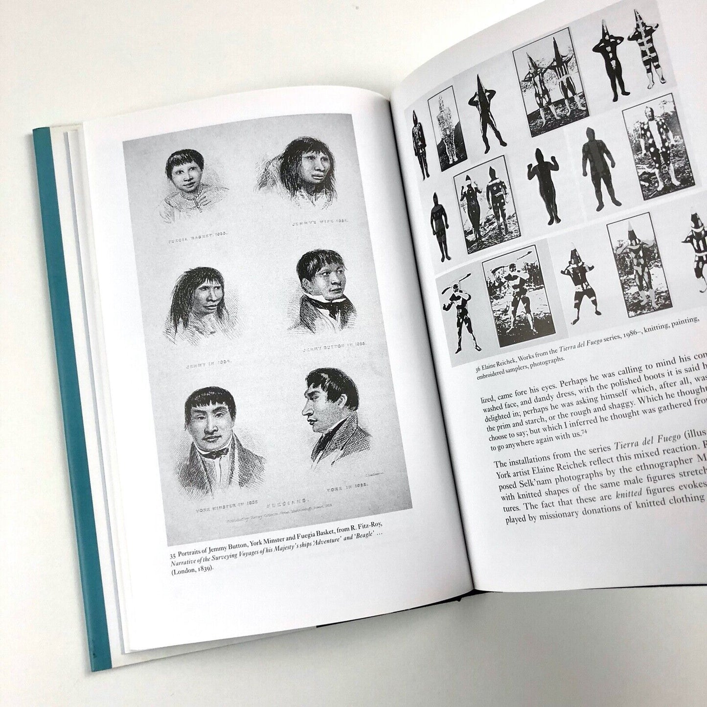 The Lives of Images by Peter Mason | Reaktion Books, 2001