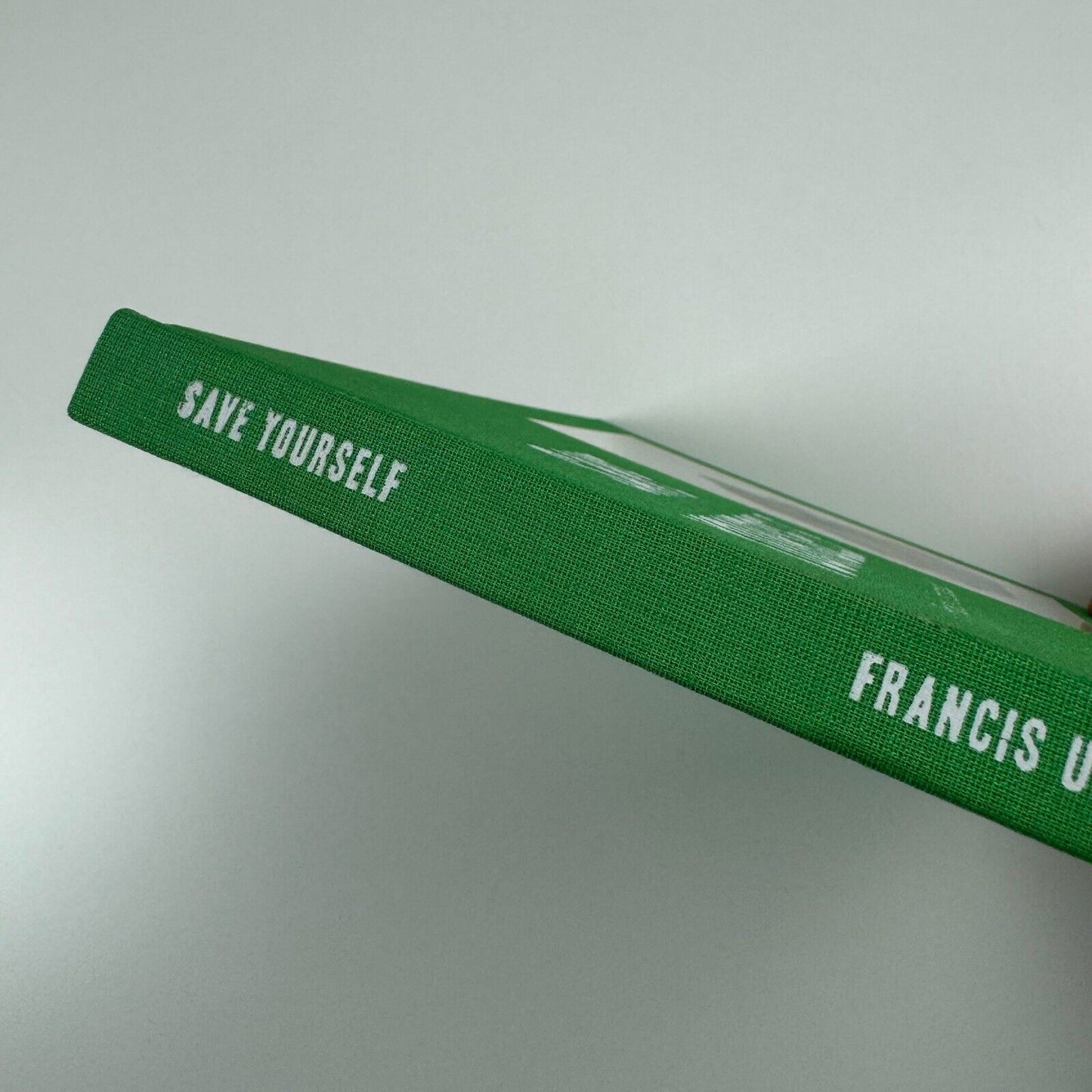 Francis Upritchard - Save Yourself | Fondazione Claudio Buziol, 2009