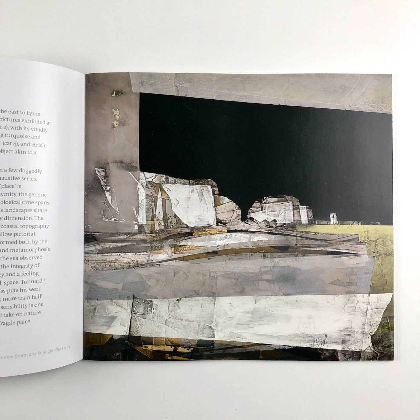 Jeremy Gardiner: A Panoramic View catalogue | Pallant House / Paisnel Gallery, 2010